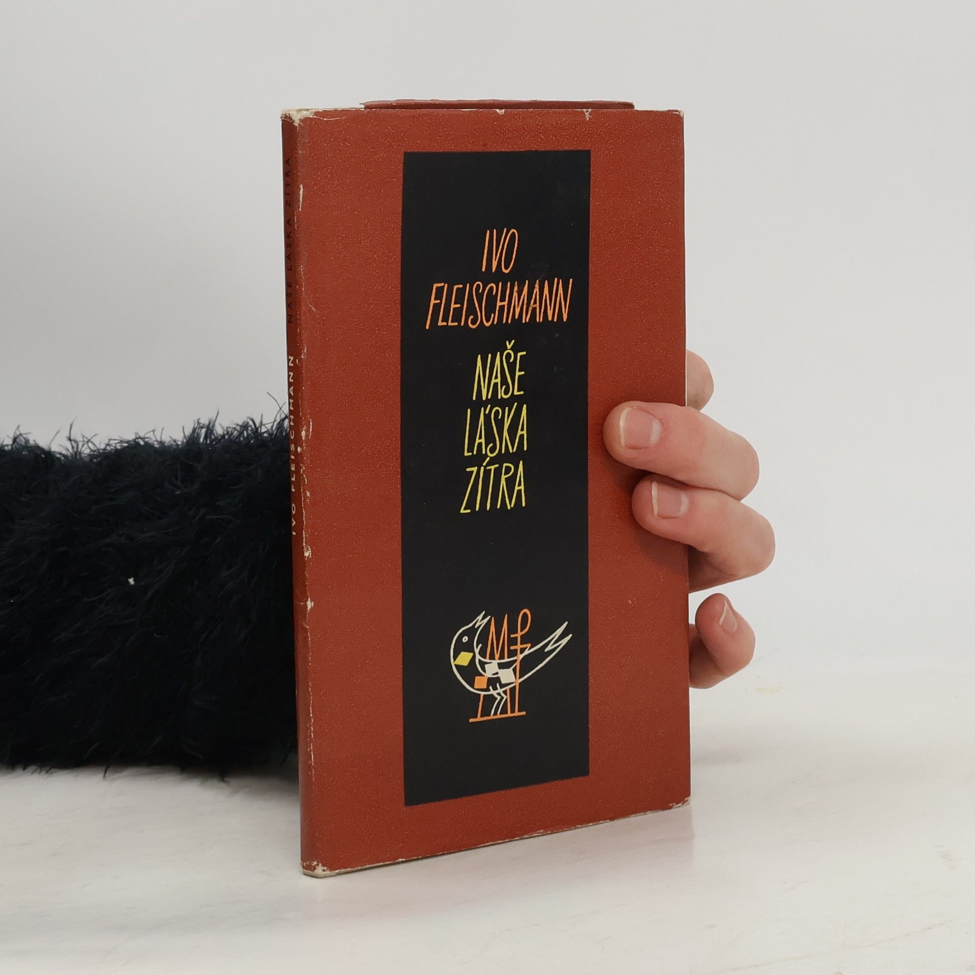 Ivo Fleischmann Naše láska zítra