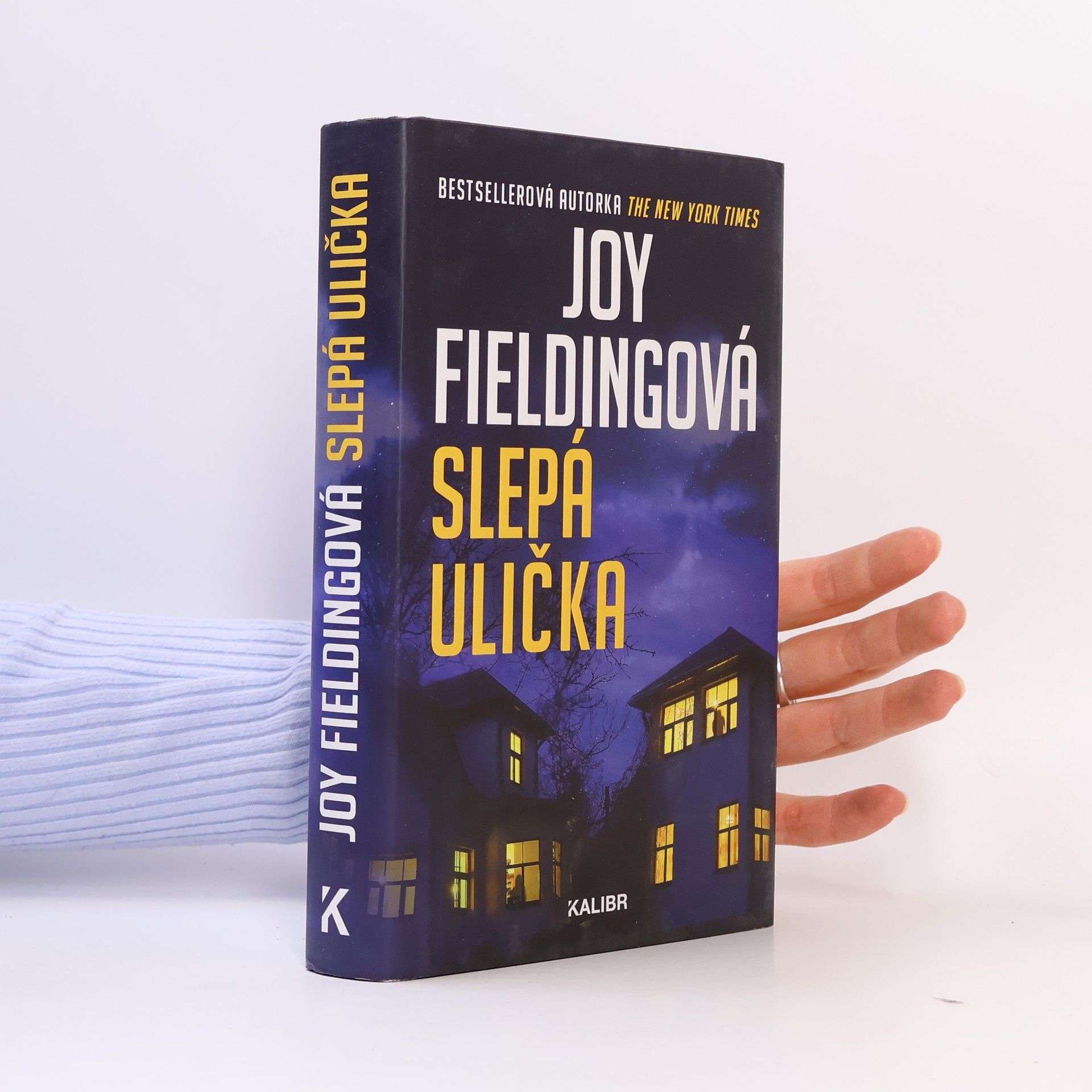 Joy Fielding Slepá ulička