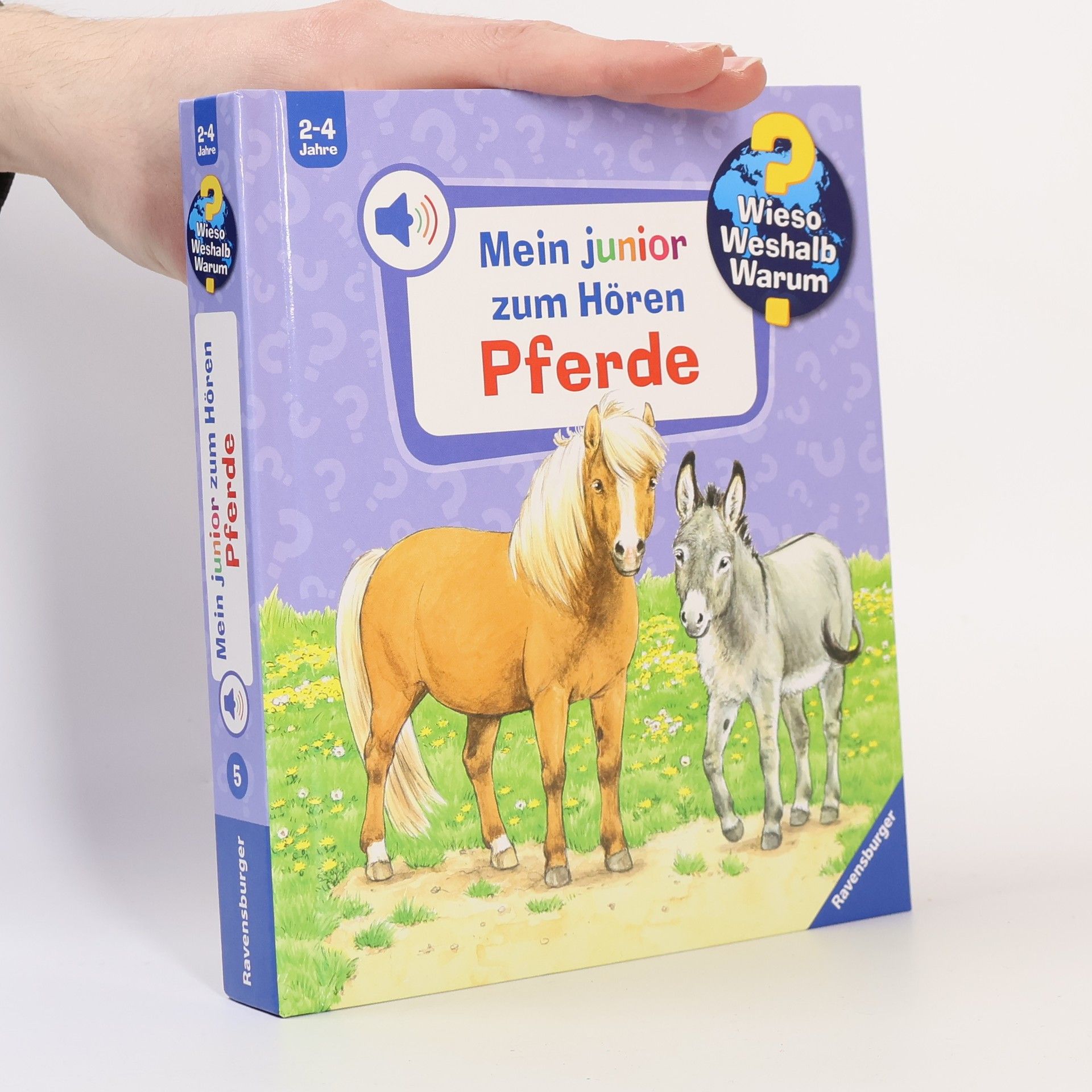 Patricia Mennen Mein junior zum Hören Pferde