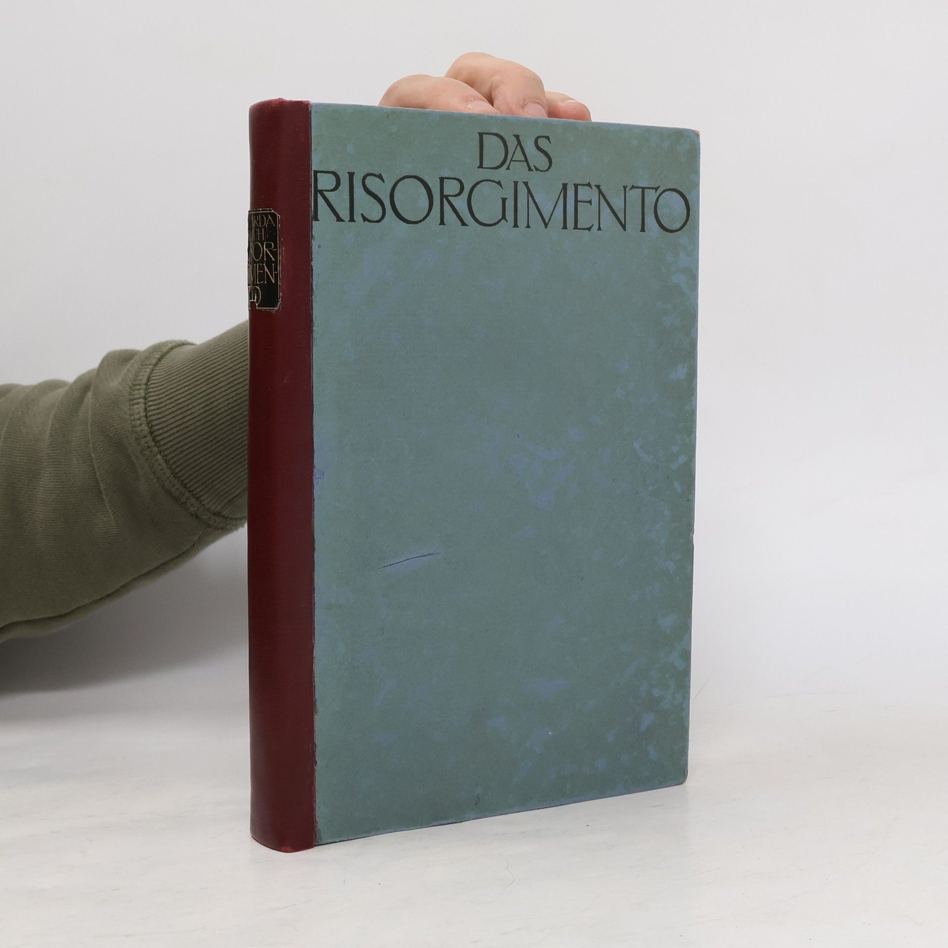 Ricarda Huch Das Risorgimento