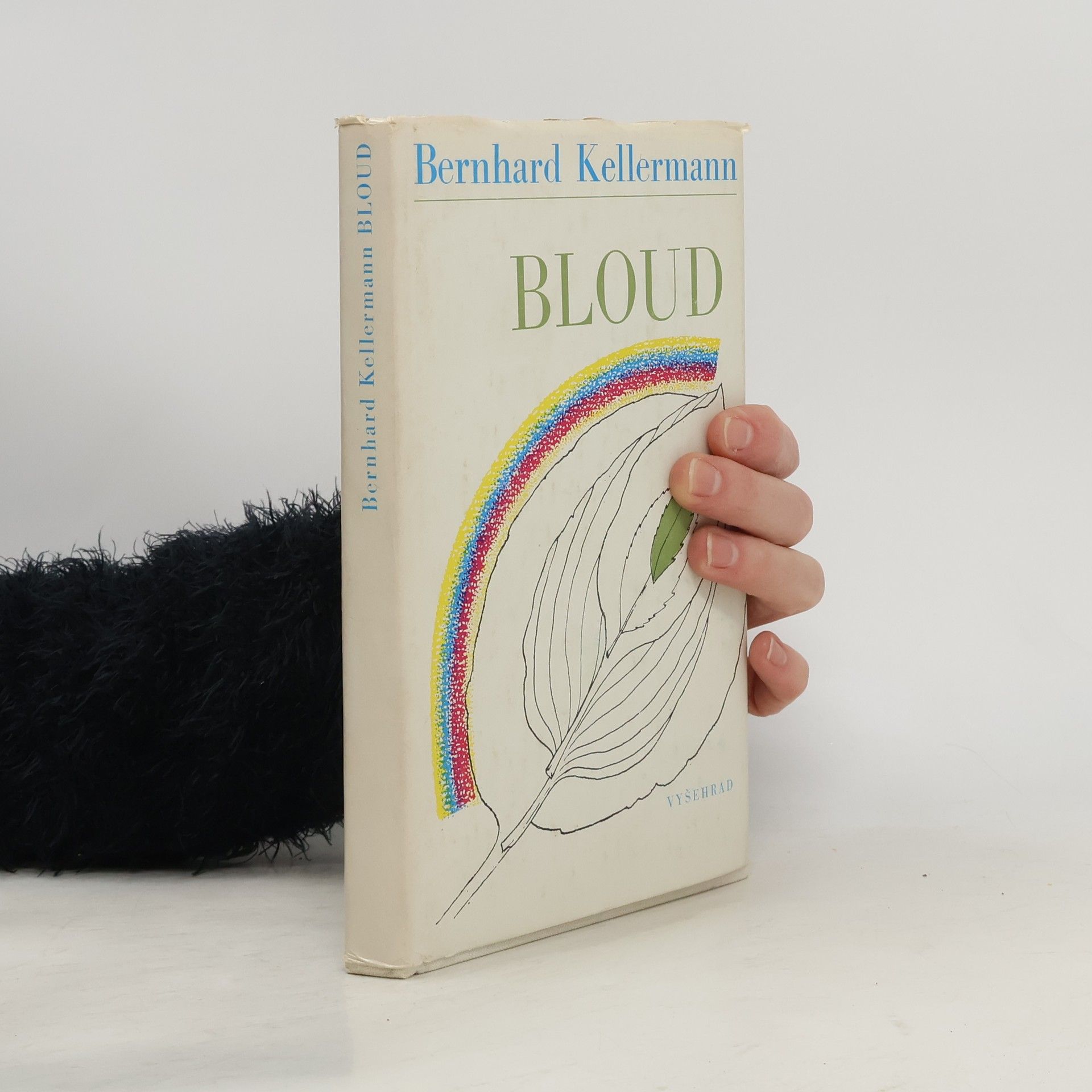 Bernhard Kellermann Bloud