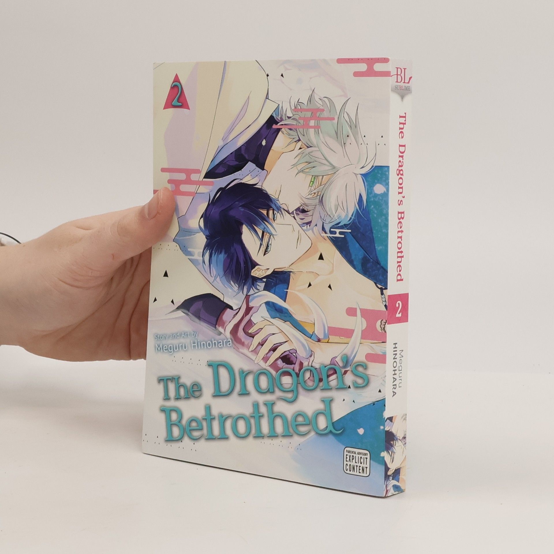 Meguru Hinohara The Dragon´s Betrothed 2