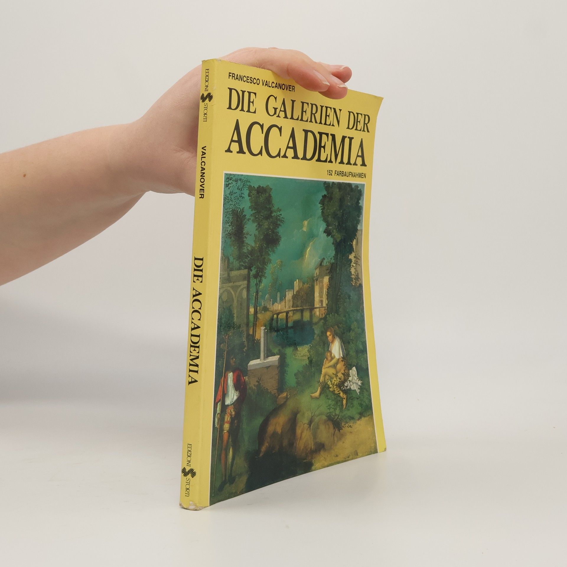 Francesco Valcanover Die Galerien der Accademia. 152 Farbaufnahmen