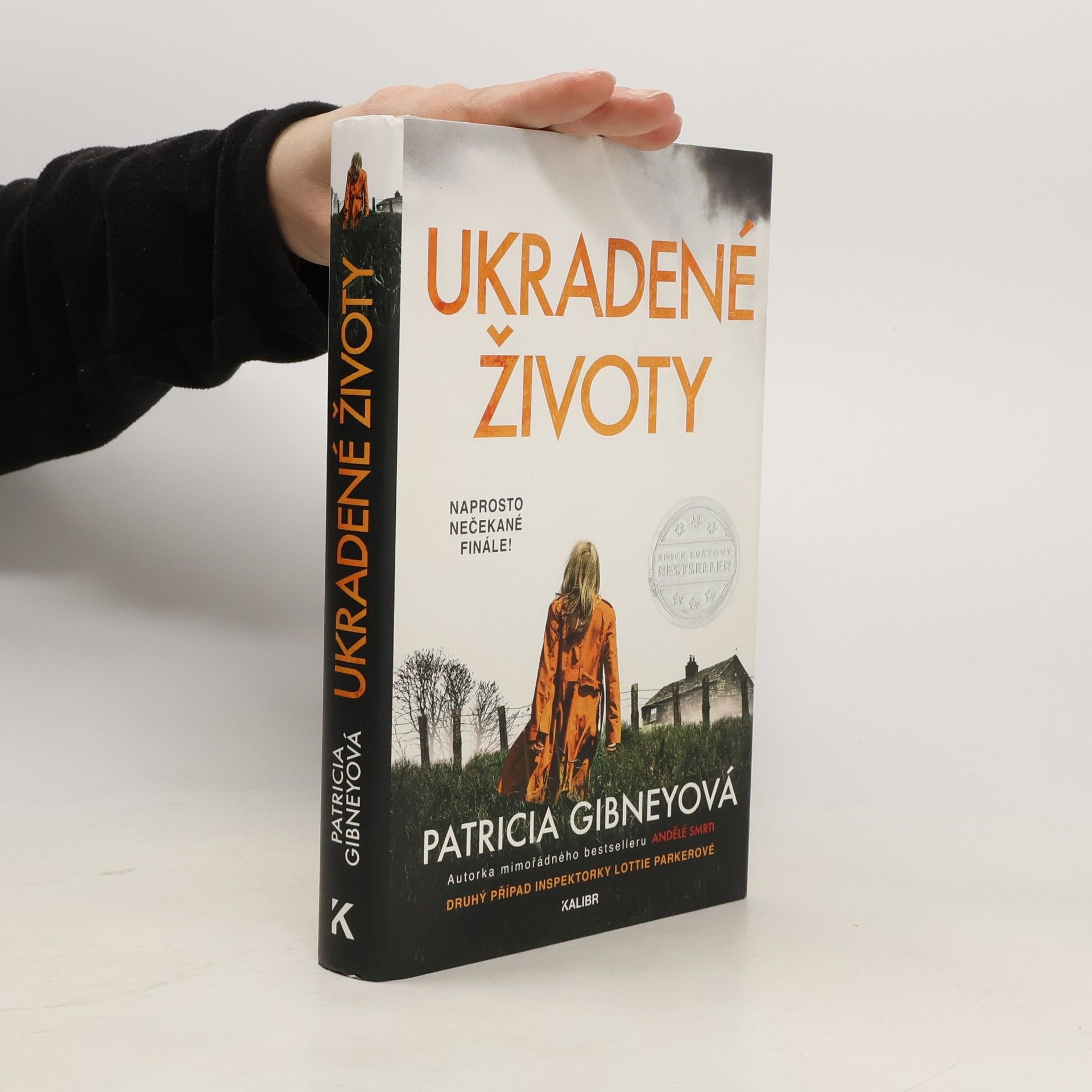 Patricia Gibney Ukradené životy