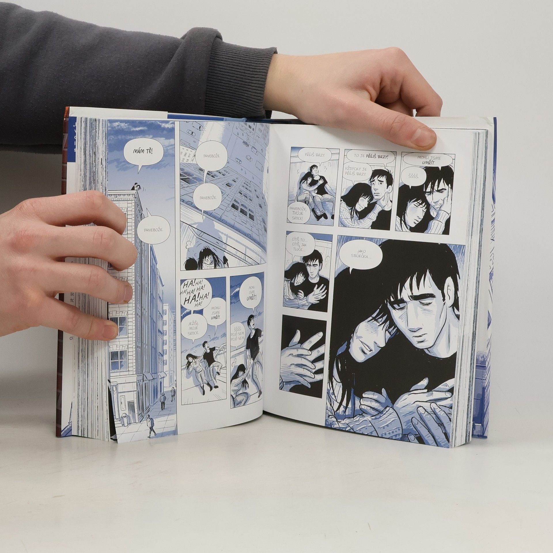 Scott McCloud Sochař