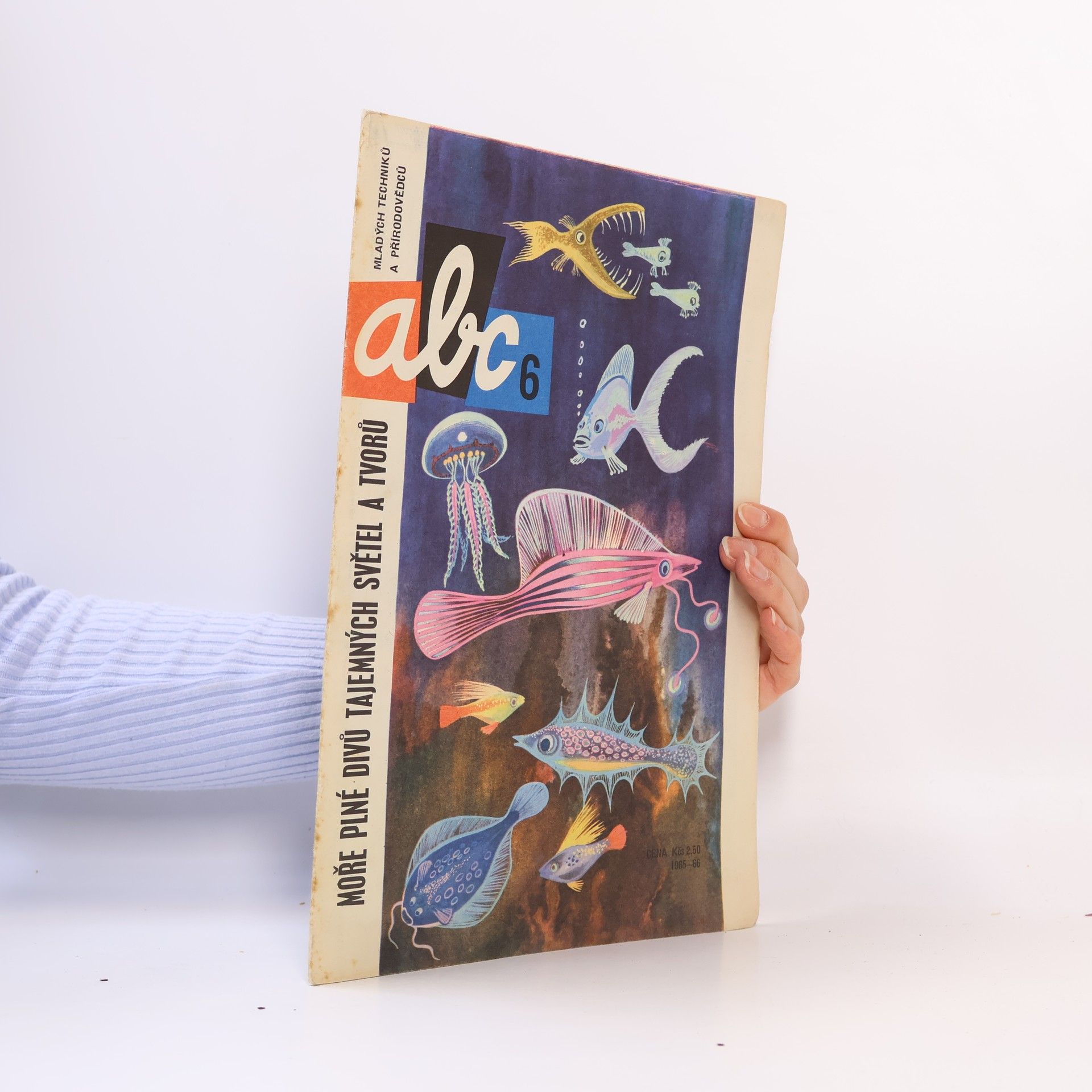 Various authors ABC mladých techniků a přírodovědců 6