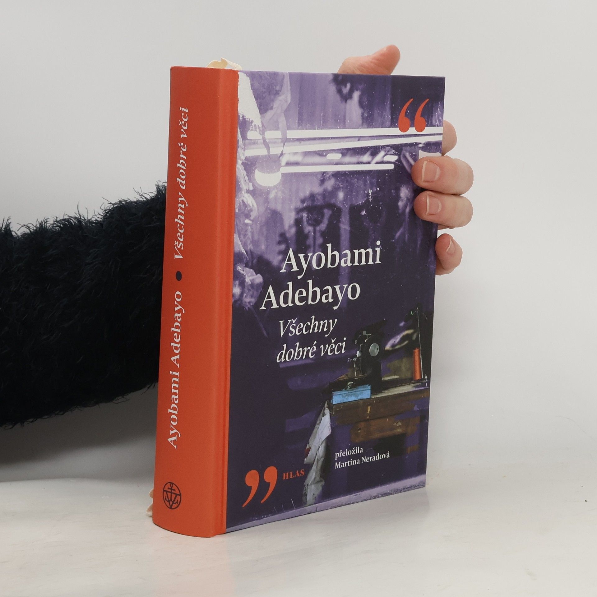 Ayobami Adebayo Všechny dobré věci