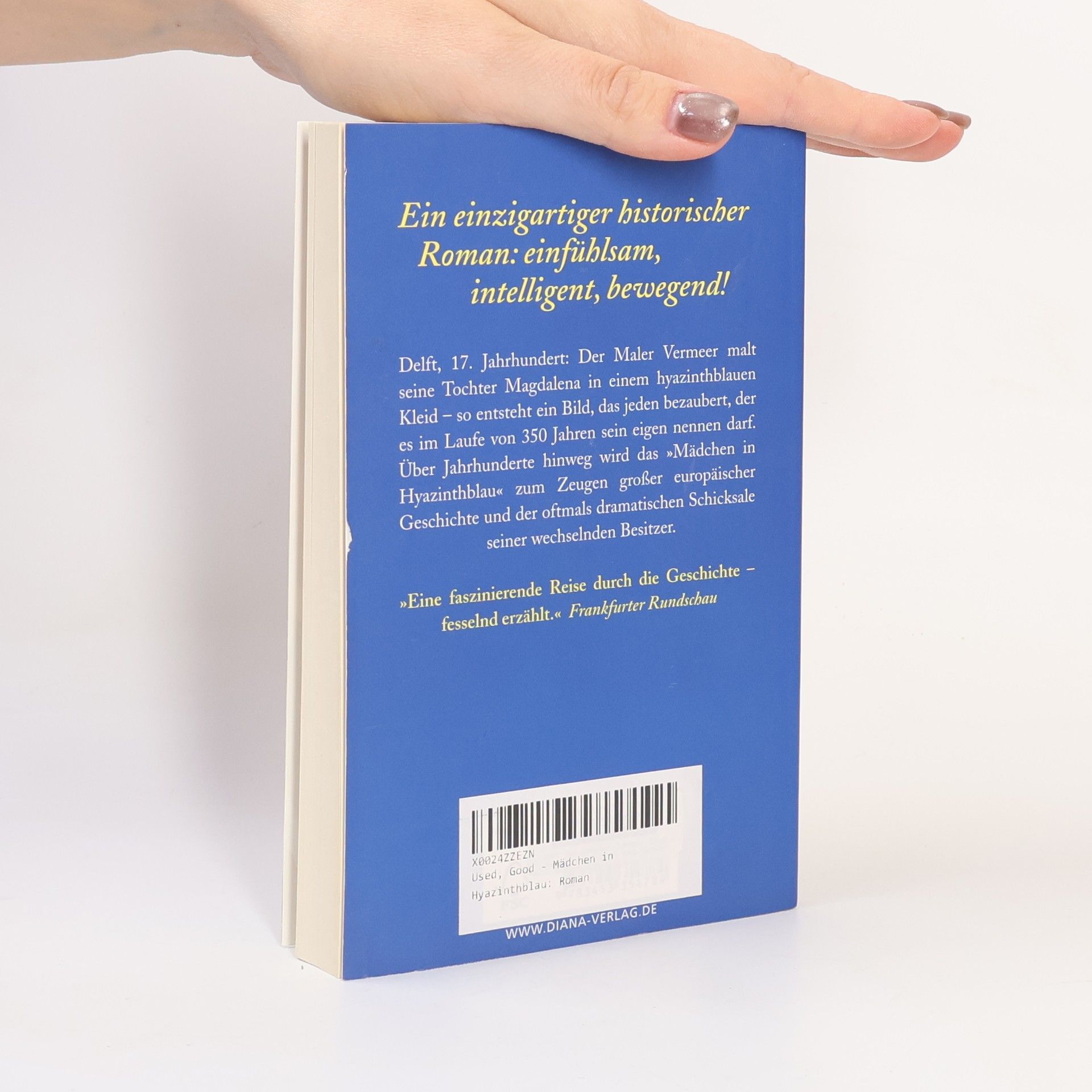 Susan Vreeland Mädchen in Hyazinthblau