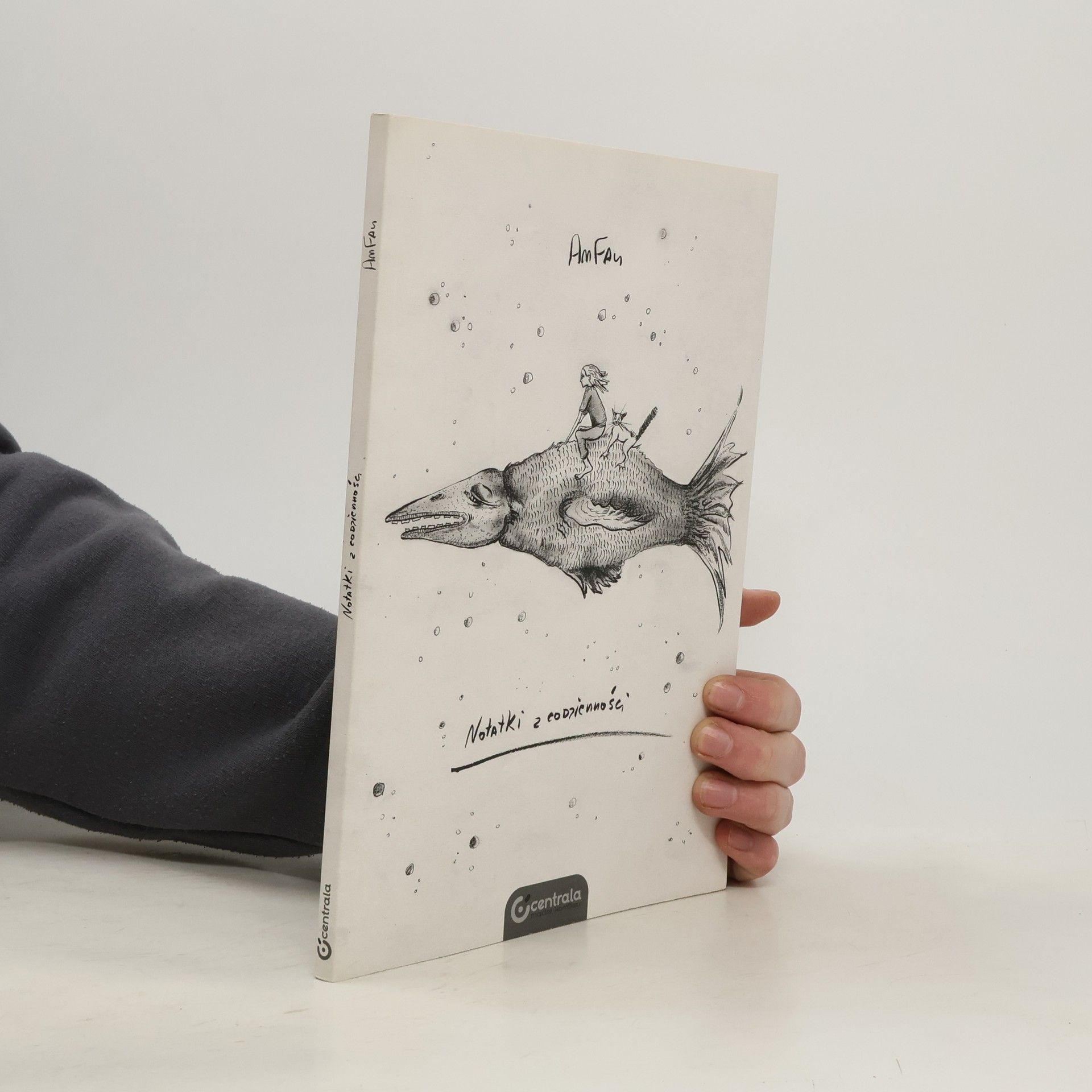 AmFan Notatki z codzienności