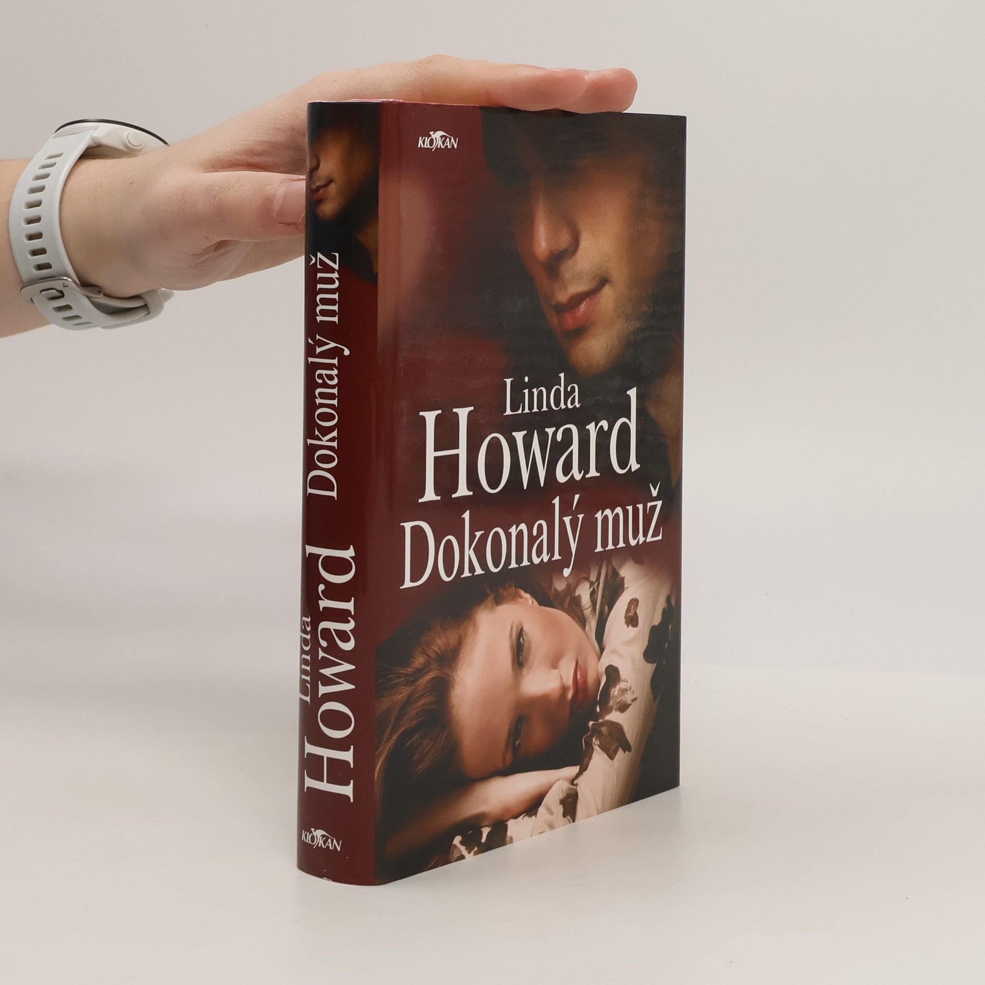 Linda Howard Dokonalý muž