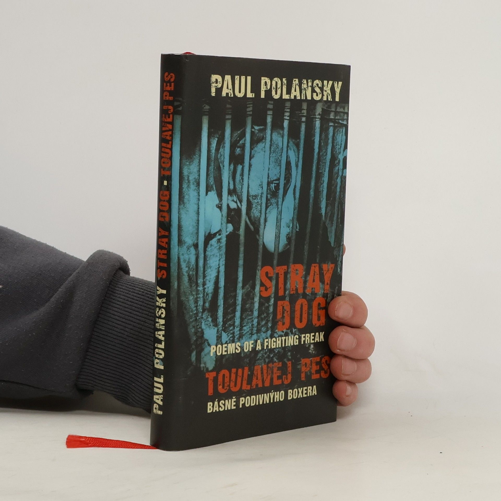 Paul Polansky Stray dog : poems of a fighting freak = Toulavej pes : básně podivnýho boxera