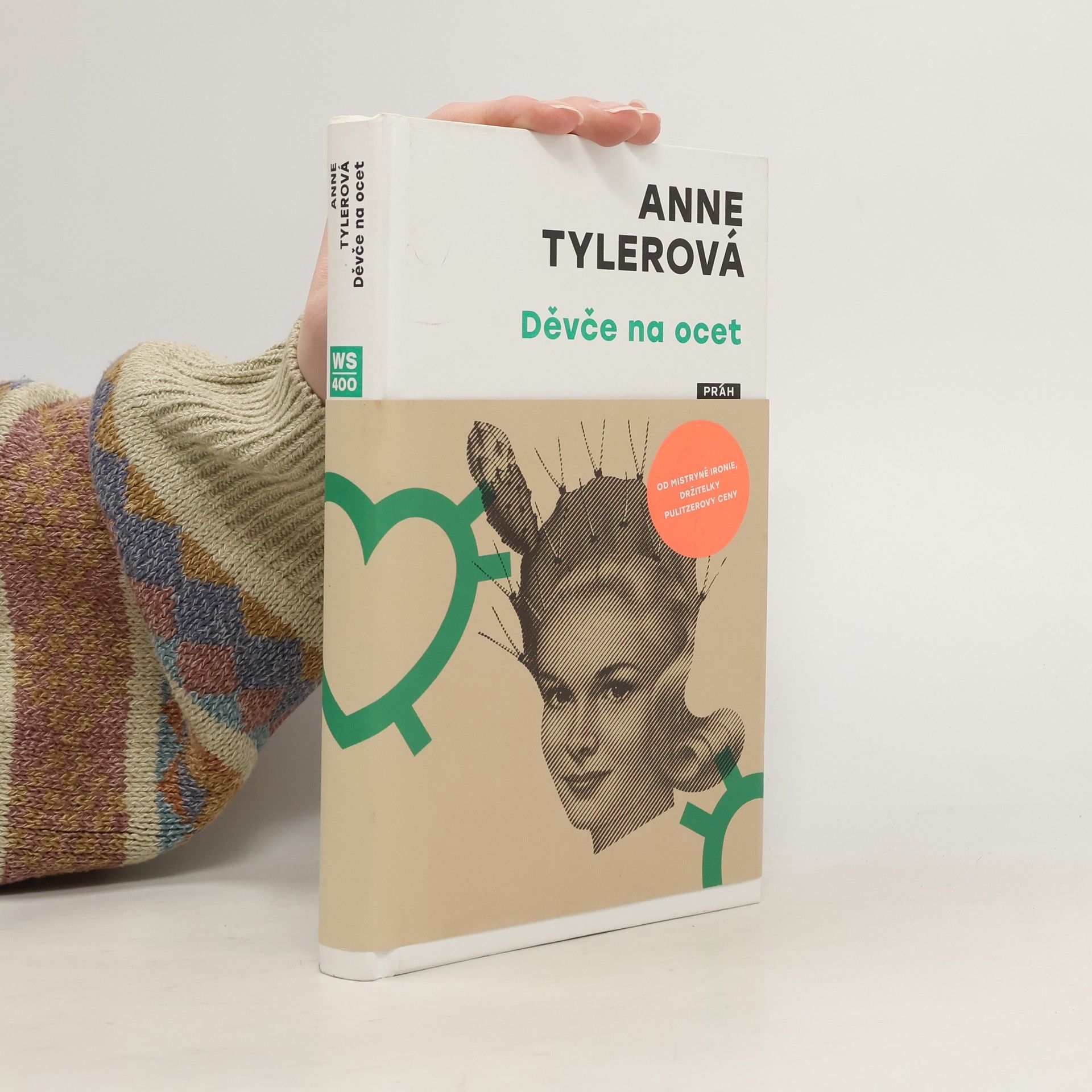 Anne Tyler Děvče na ocet