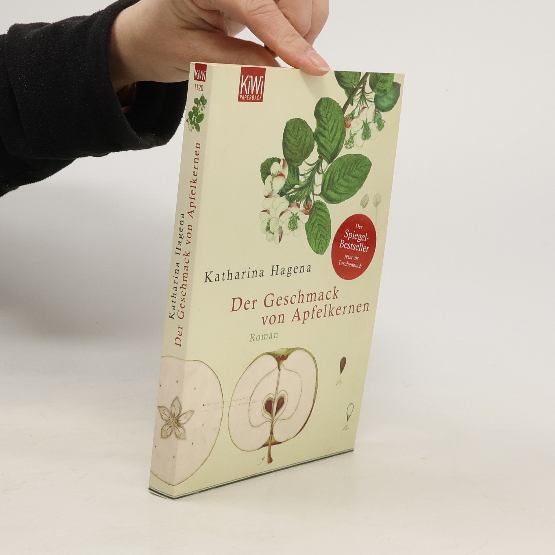 Katharina Hagena Der Geschmack von Apfelkernen