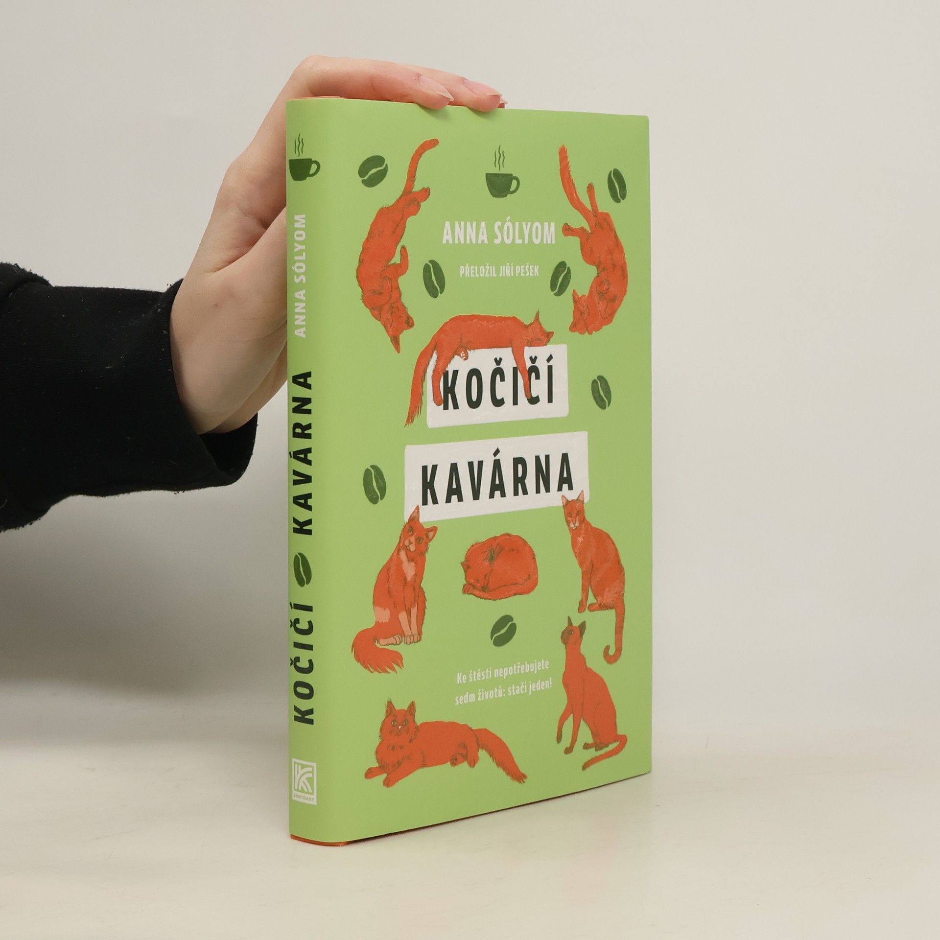 Anna Sólyom Kočičí kavárna