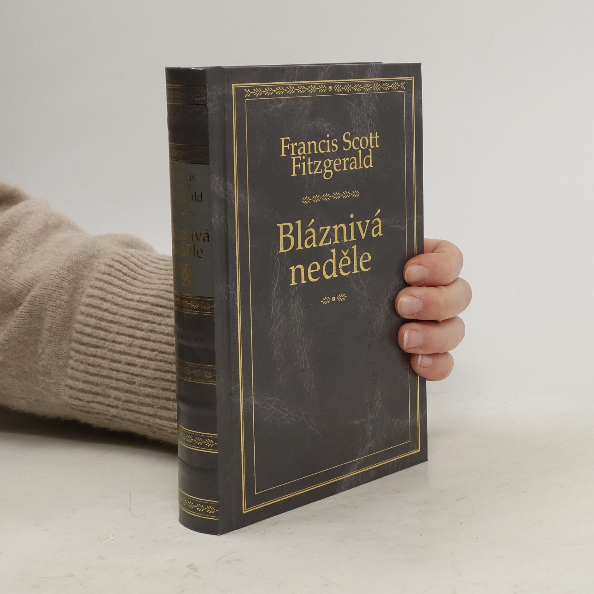 Francis Scott Fitzgerald Bláznivá neděle a jiné povídky