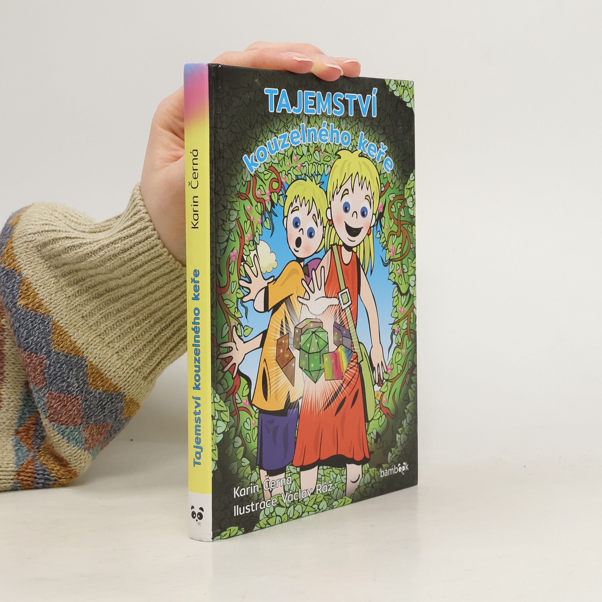 Karin Černá Tajemství kouzelného keře