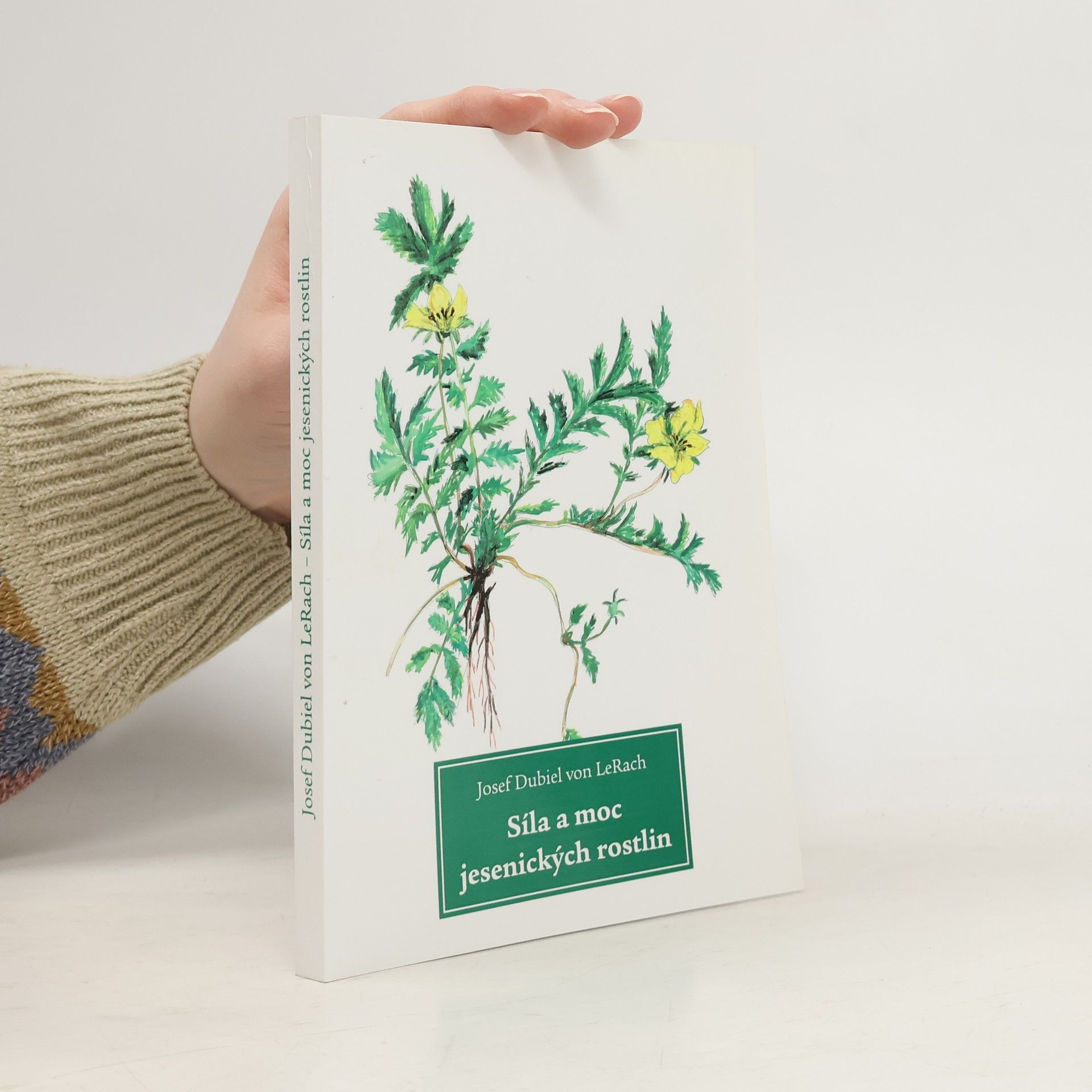 Síla a moc jesenických rostlin