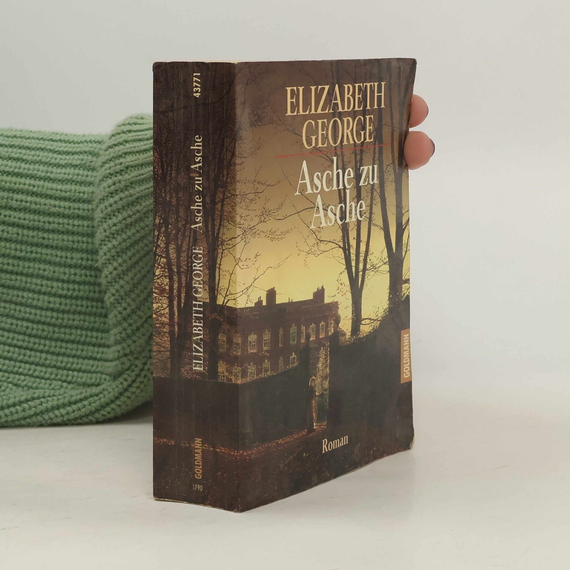 Elizabeth George Asche zu Asche