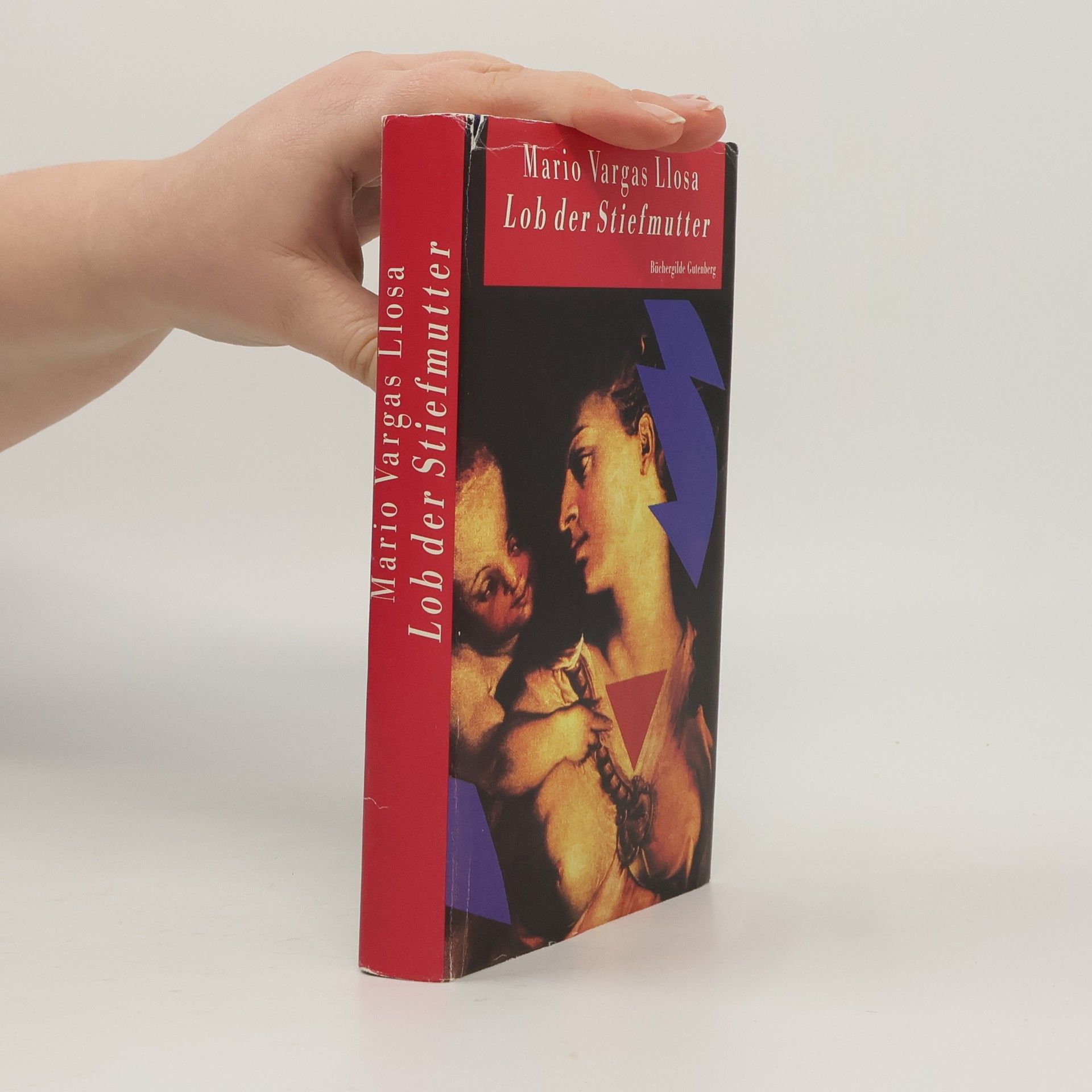 Autorenkollektiv Lob der Schwiegermutter. Roman