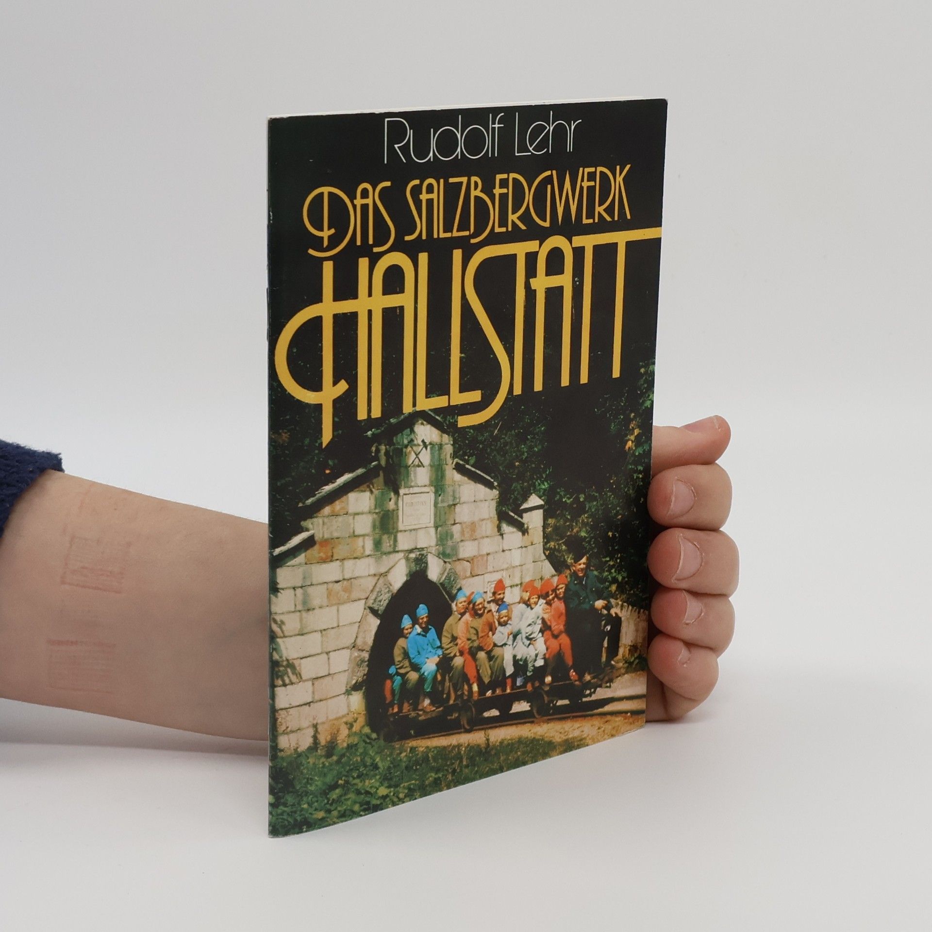 Rudolf Lehr Das Salzbergwerk Hallstatt