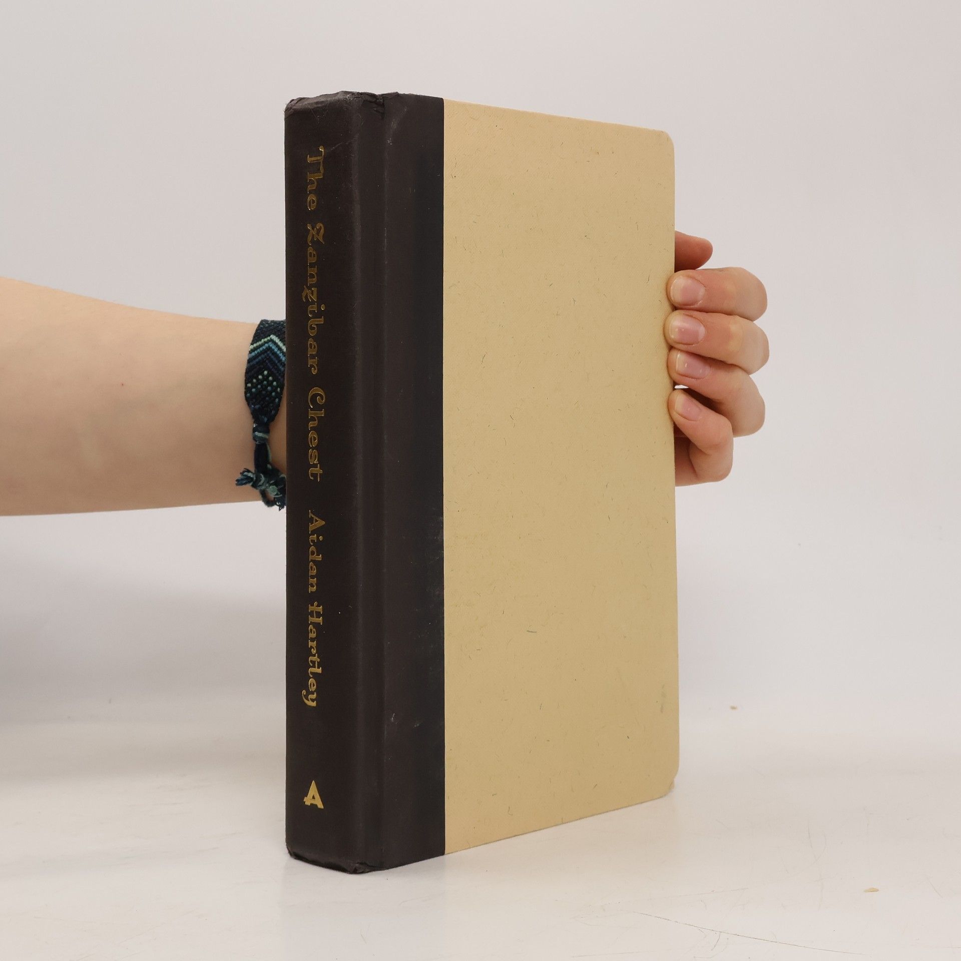 Aidan Hartley The Zanzibar Chest