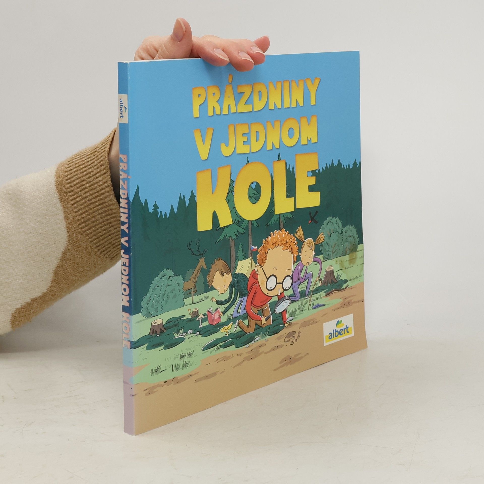 Kolektív autorov Prázdniny v jednom kole