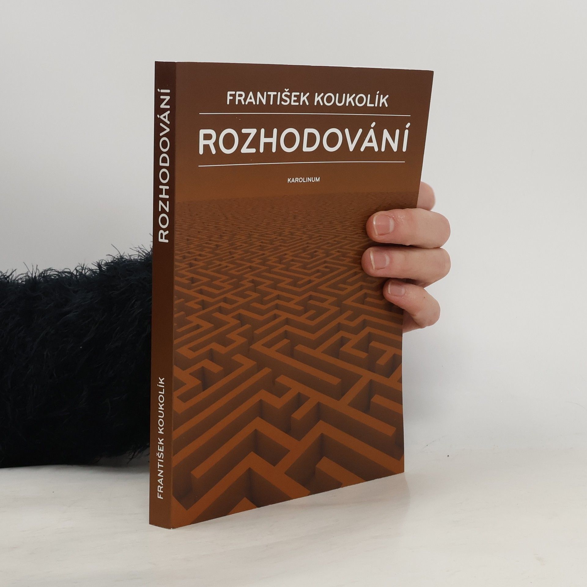 František Koukolík Rozhodování