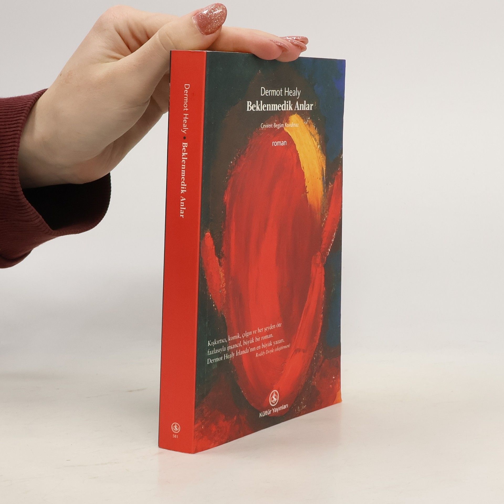 Dermot Healy Beklenmedik Anlar