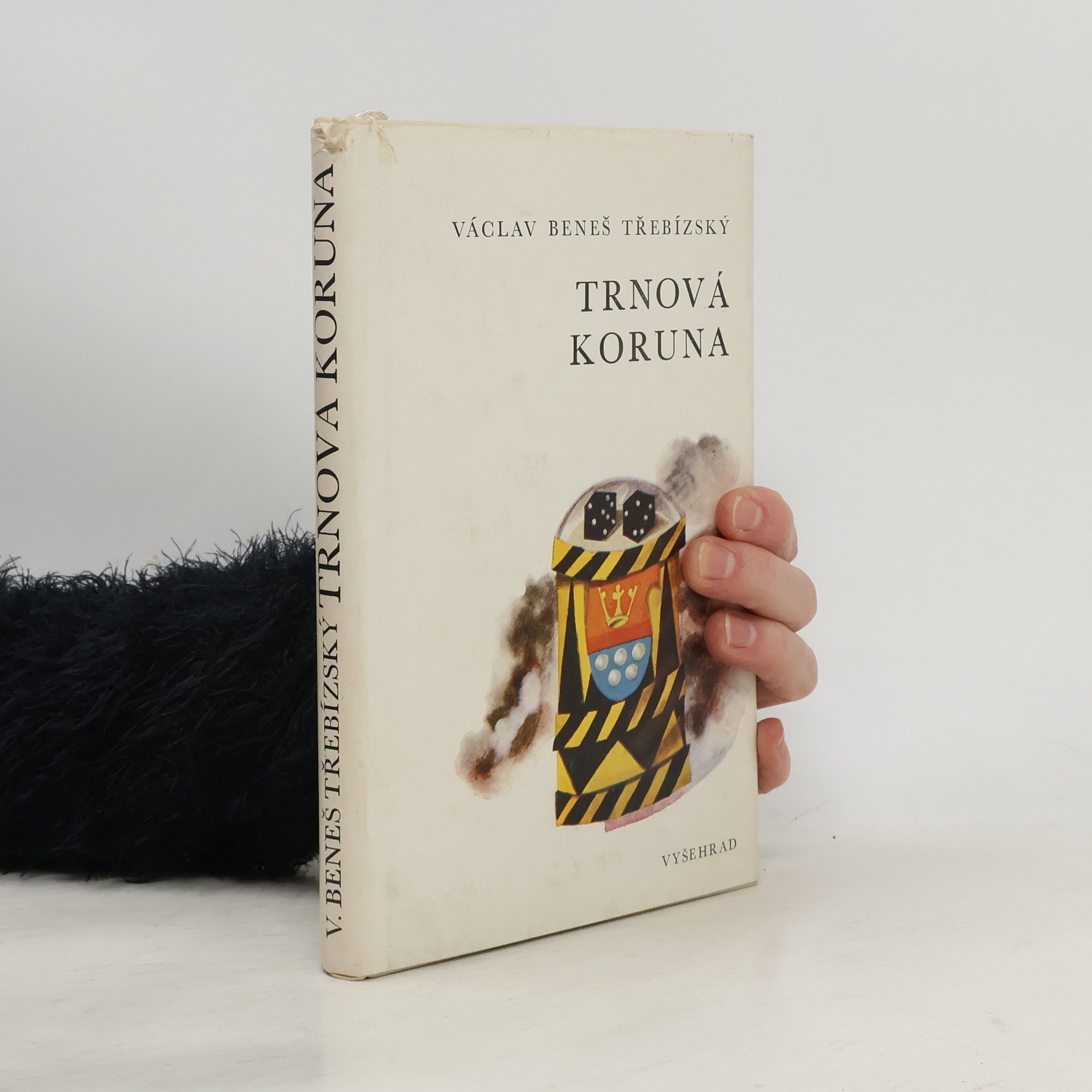 Václav Beneš Třebízský Trnová koruna