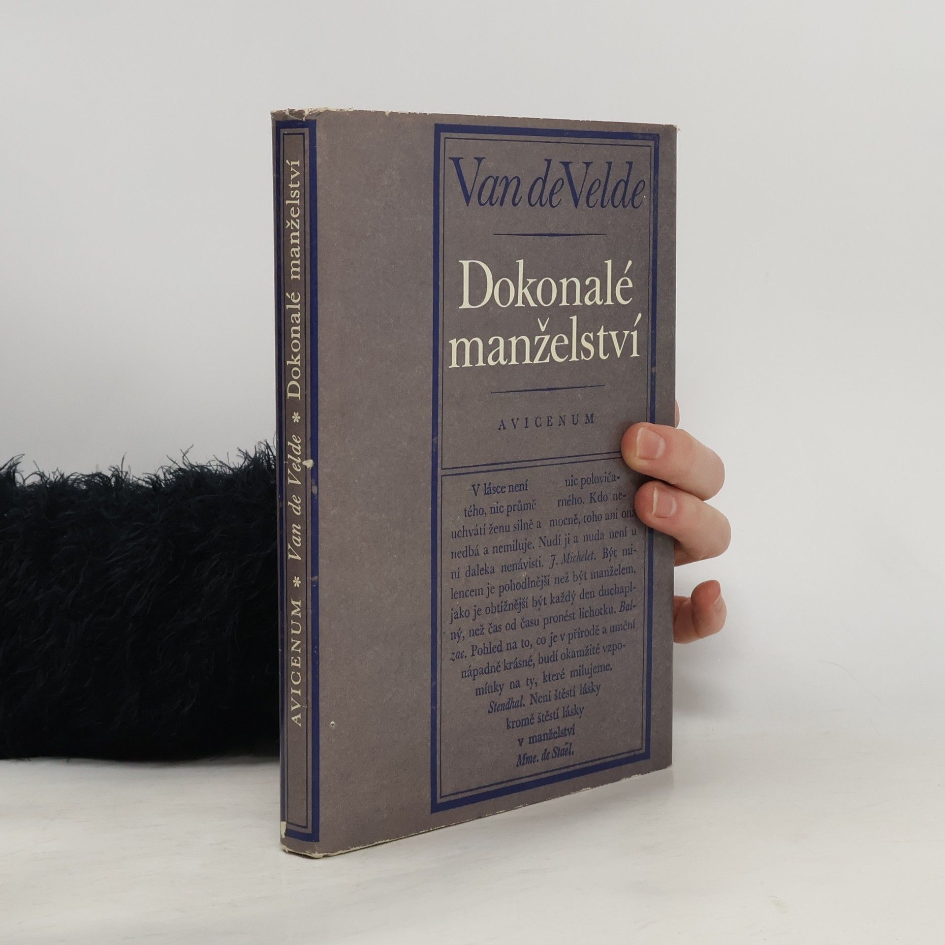 Theodor Hendrik van de Velde Dokonalé manželství