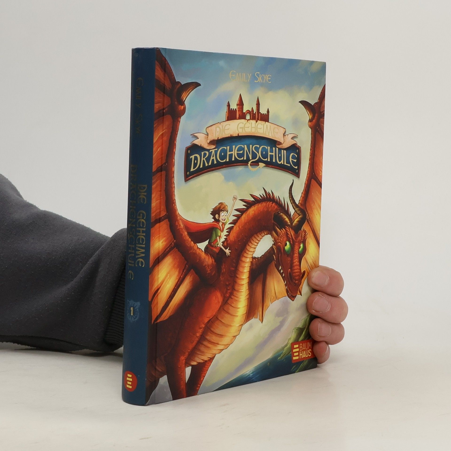 Emily Skye Die geheime Drachenschule