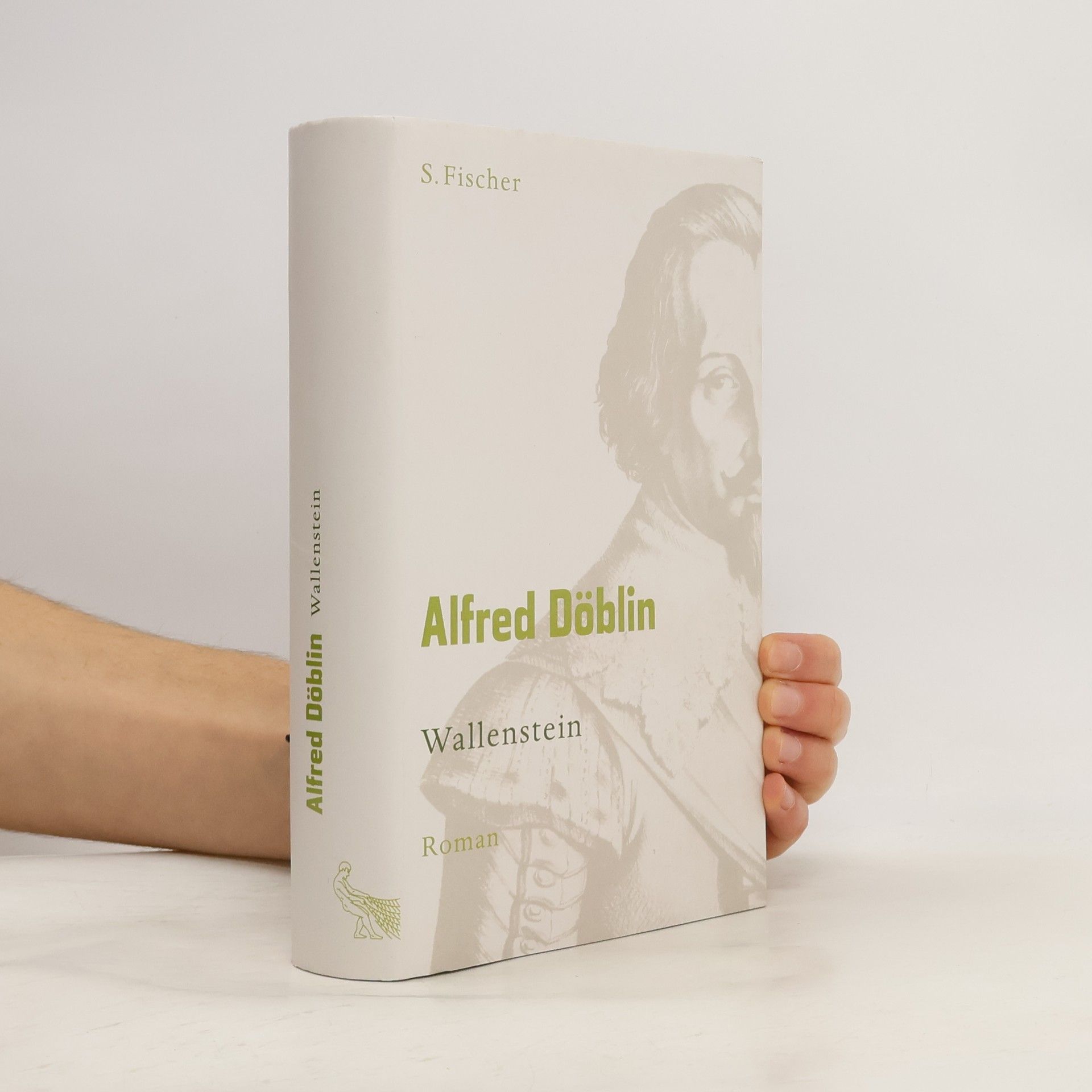Alfred Döblin Wallenstein