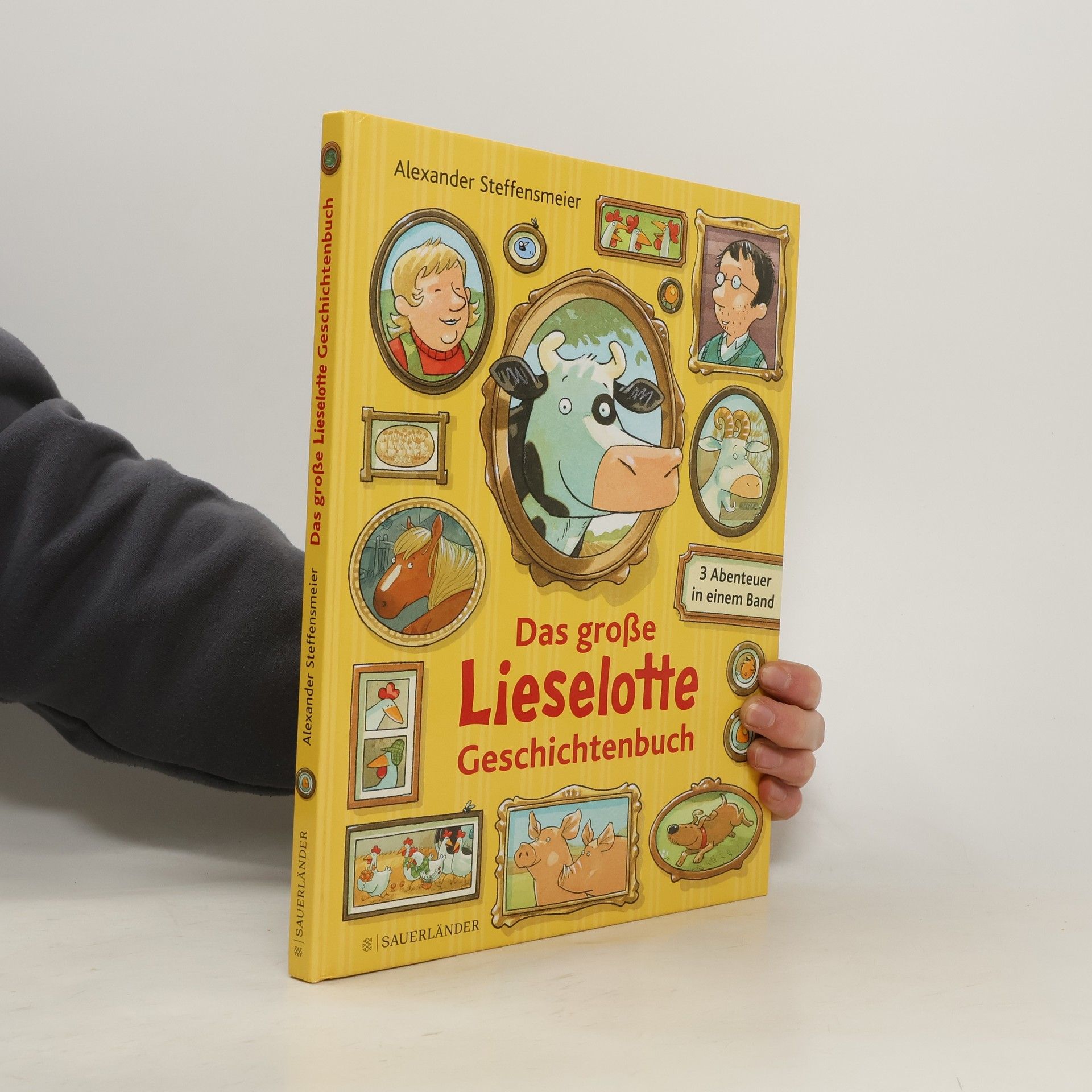 Alexander Steffensmeier Das große Lieselotte Geschichtenbuch