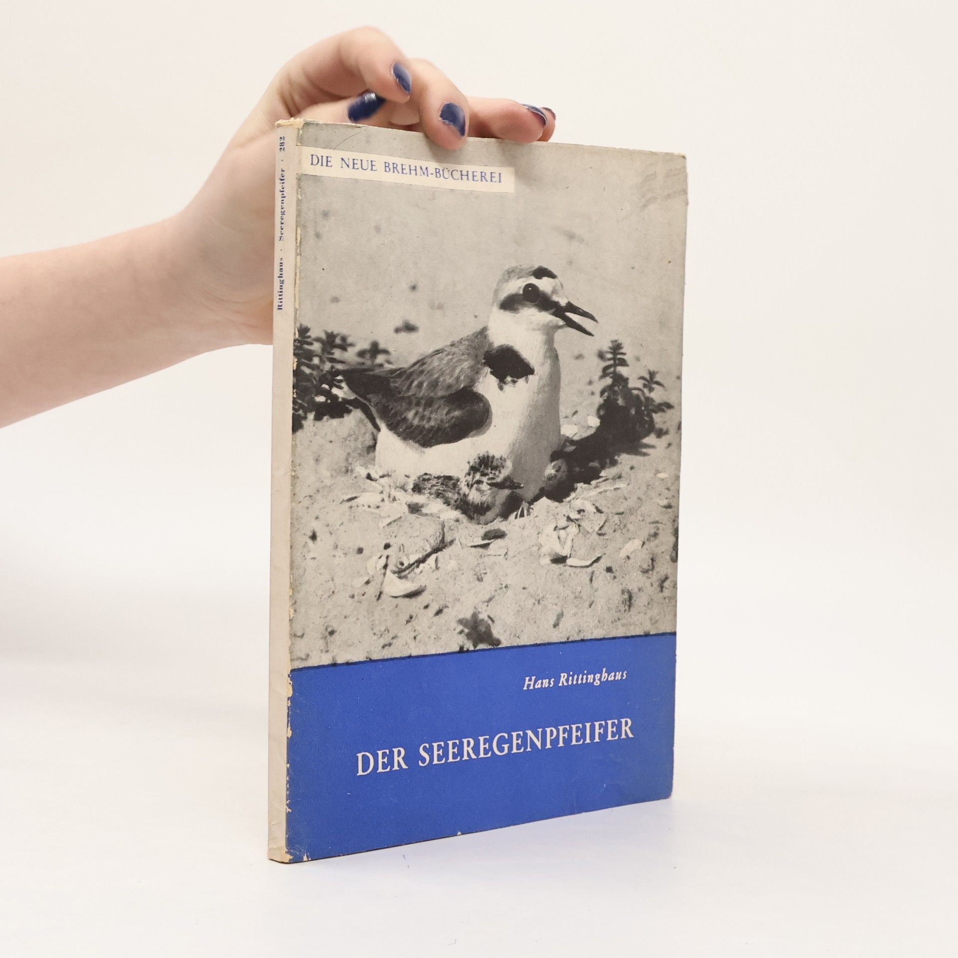 Hans Rittinghaus Der Seeregenpfeifer