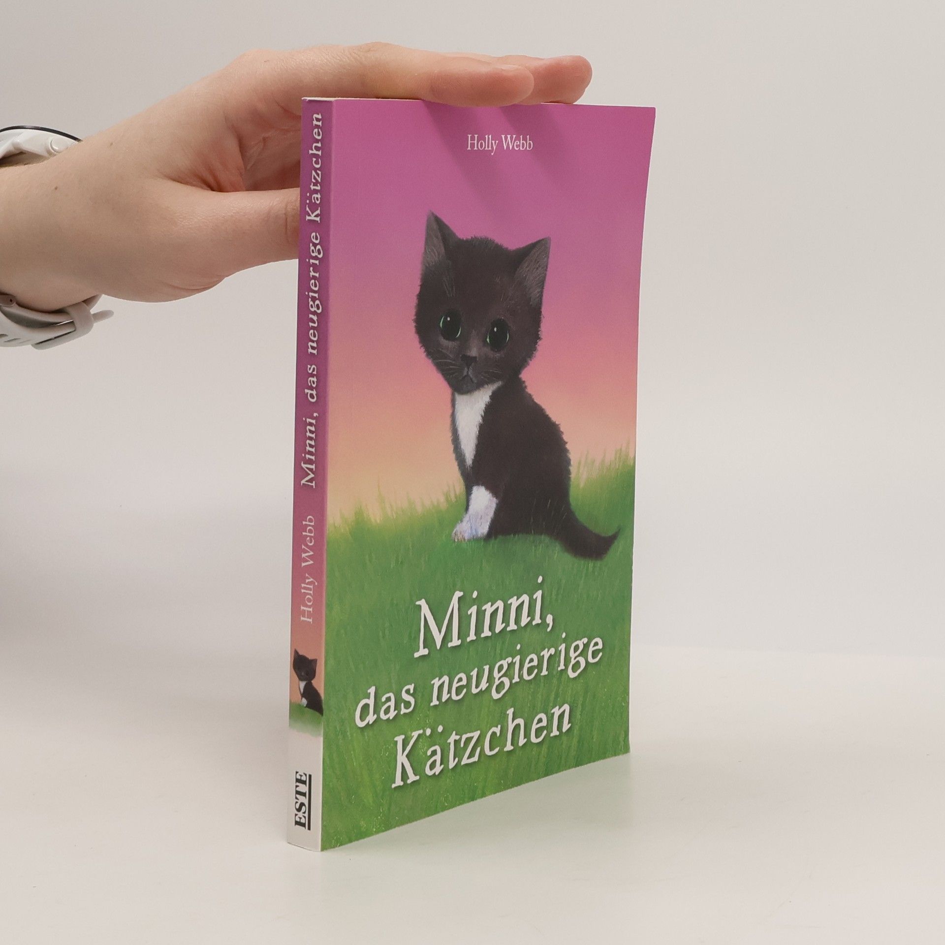 Minni, das neugierige Kätzchen