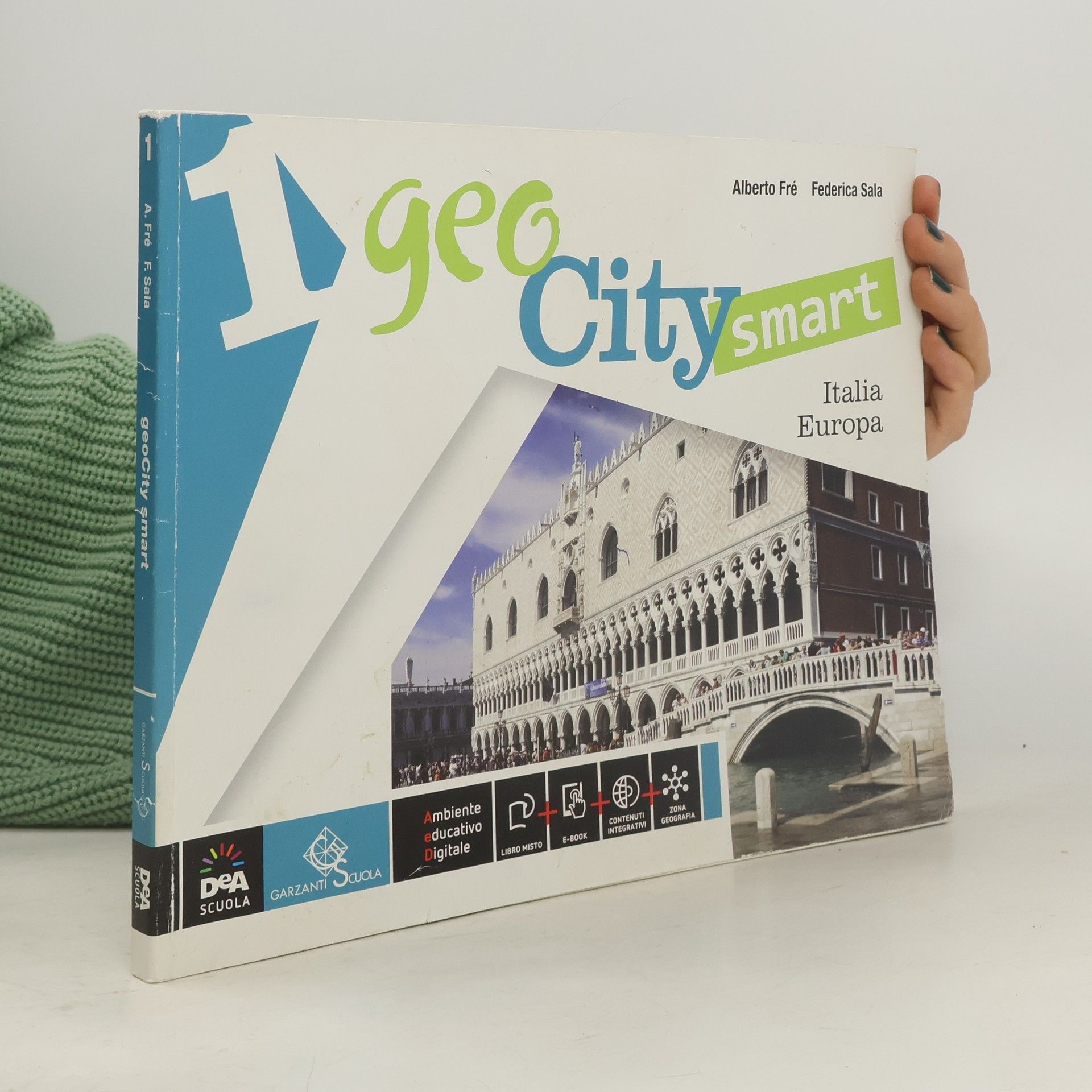 Geo City Smart 1
