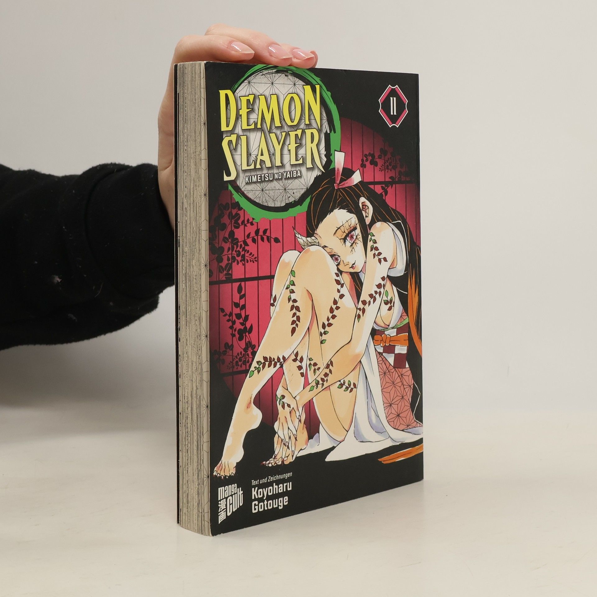 Koyoharu Gotōge Demon Slayer 11
