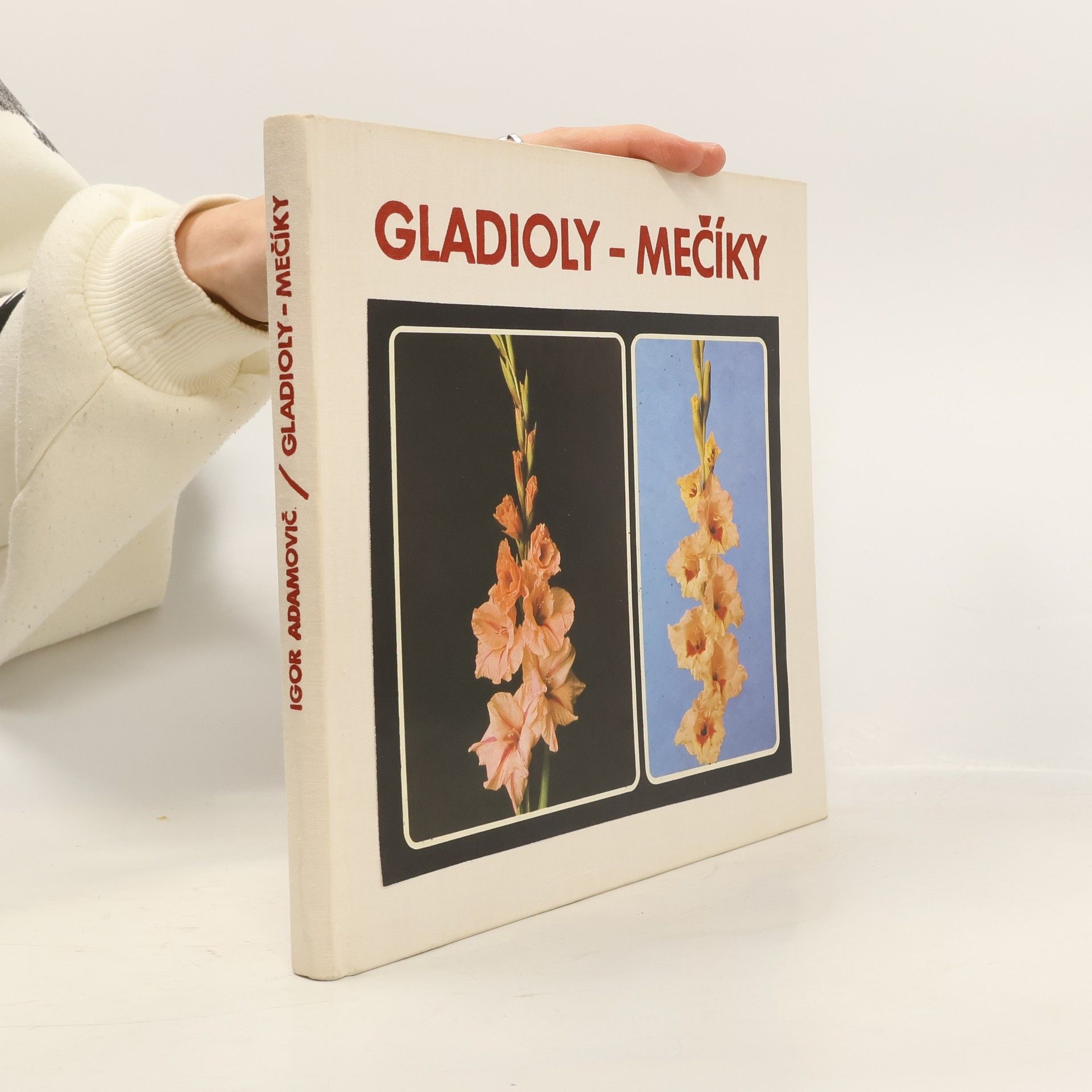 Igor Adamovič Gladioly - mečíky