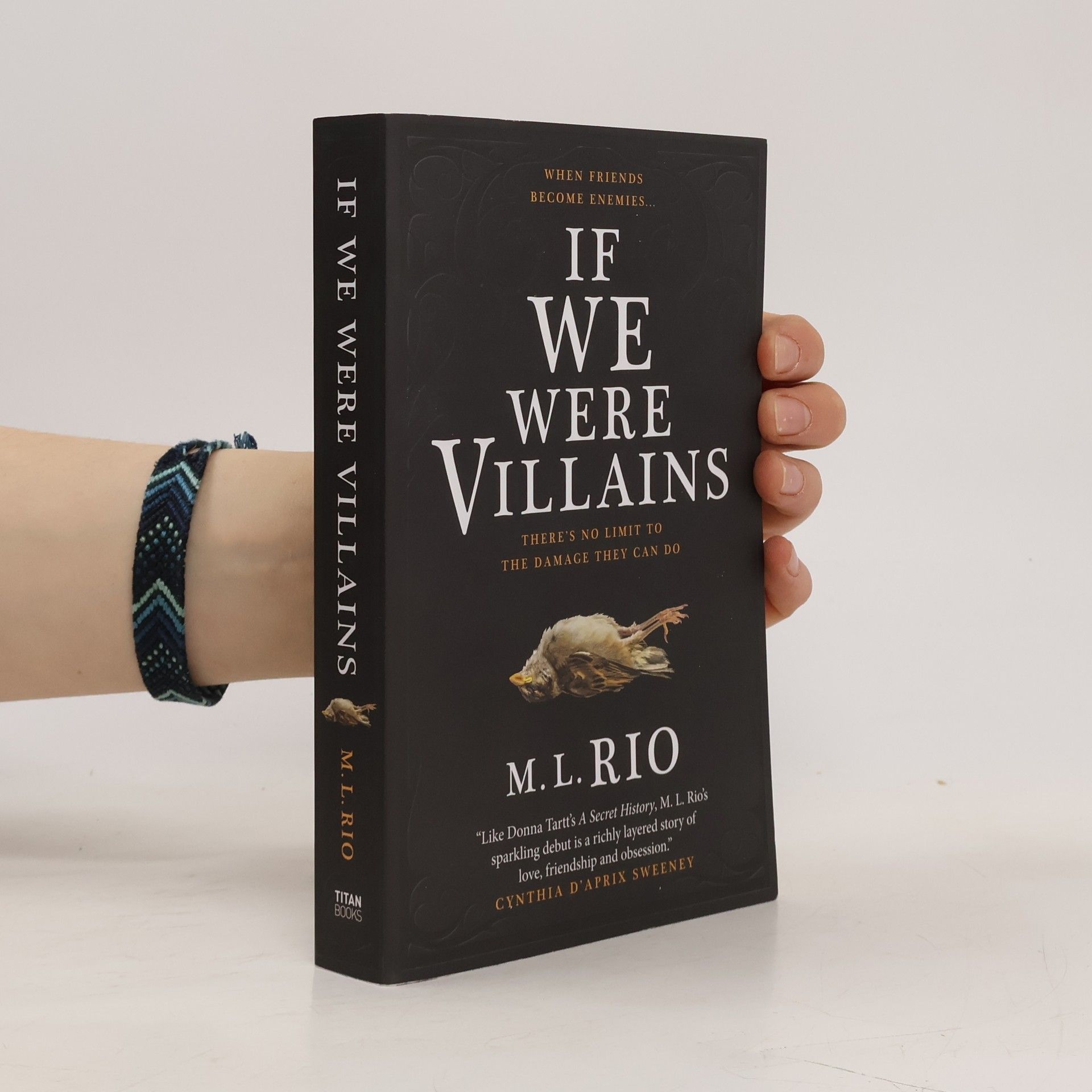 M. L. Rio If We Were Villains