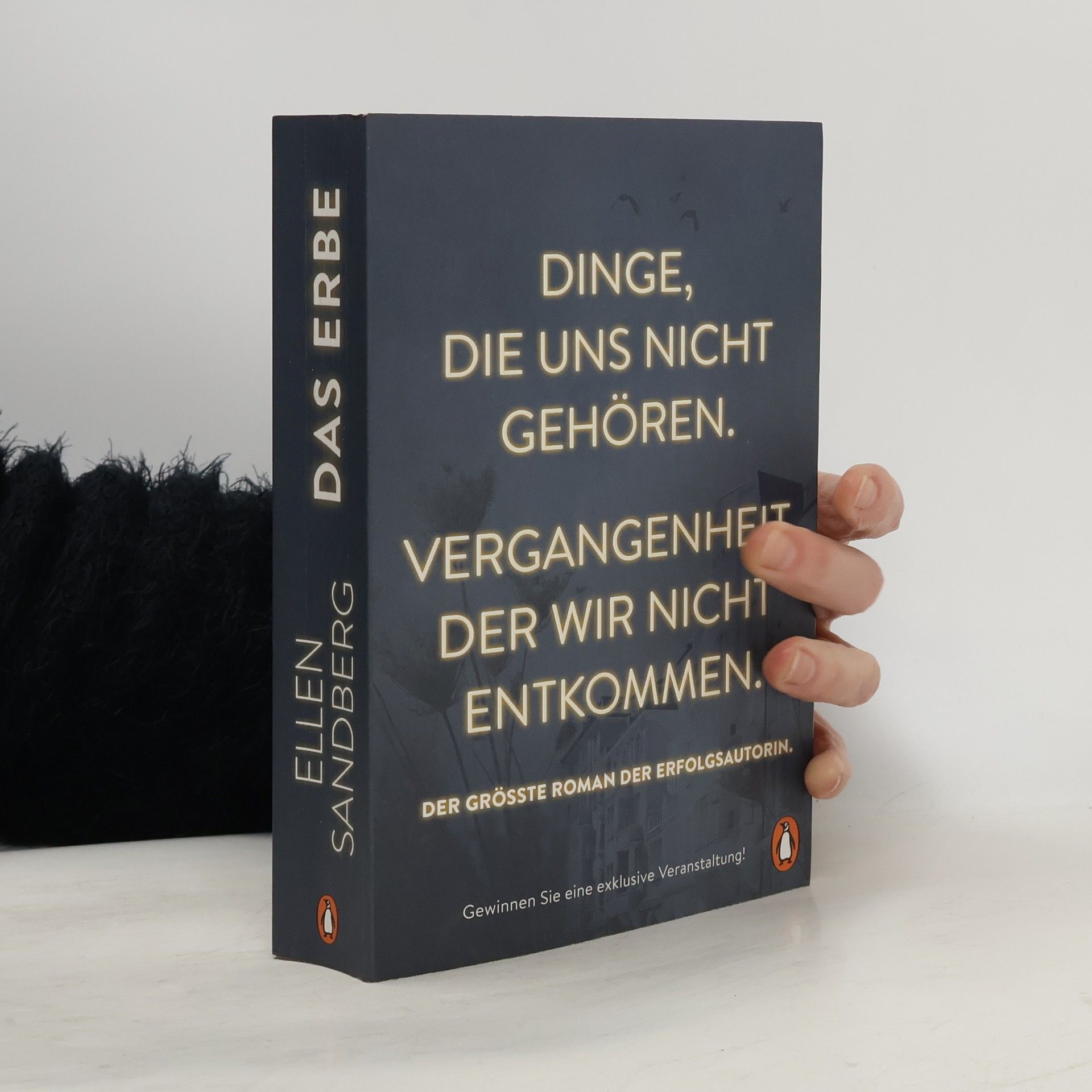 Ellen Sandberg Das Erbe: Dinge, die uns nicht gehören. Vergangenheit, der wir nicht entkommen