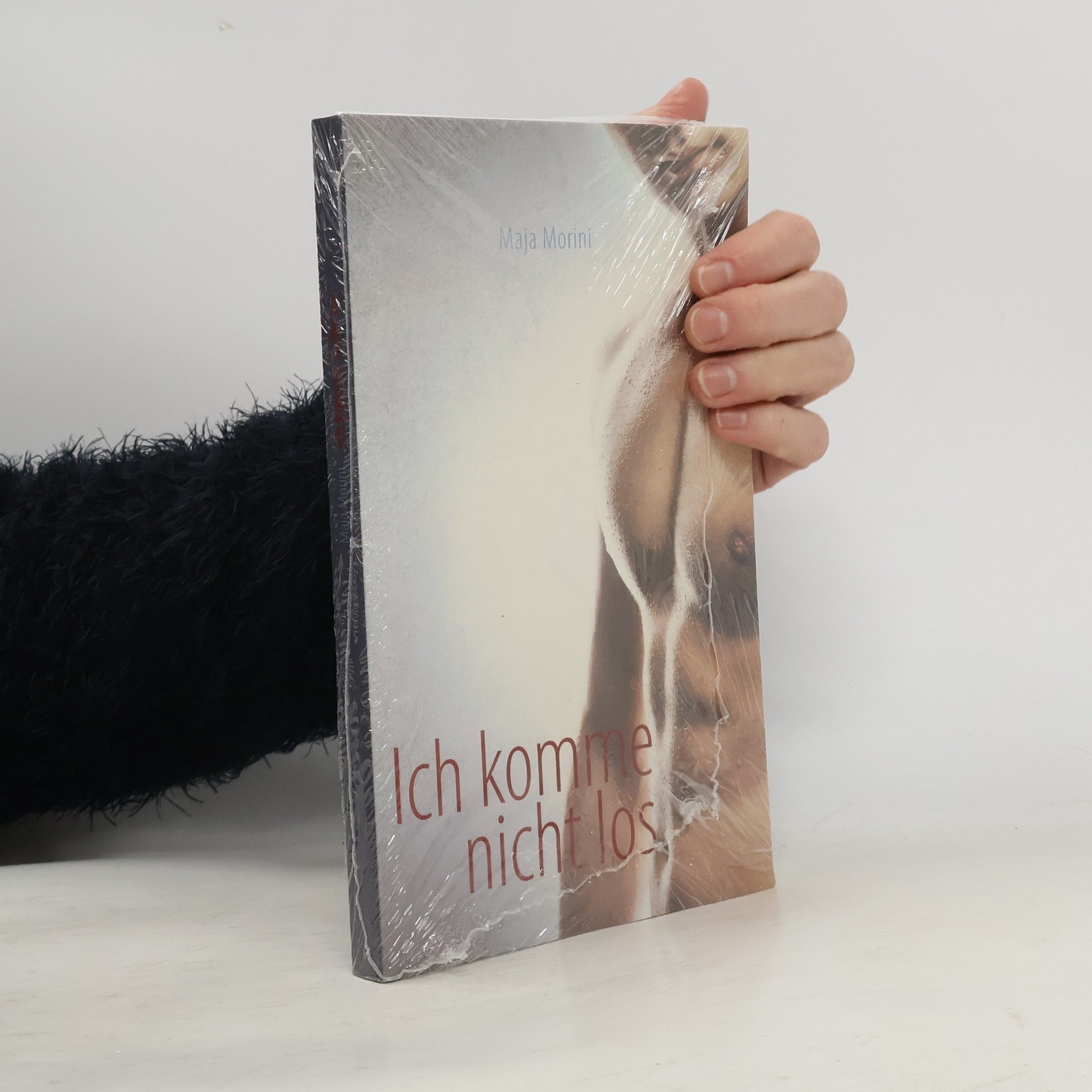 Maja Morini Ich komme nicht los