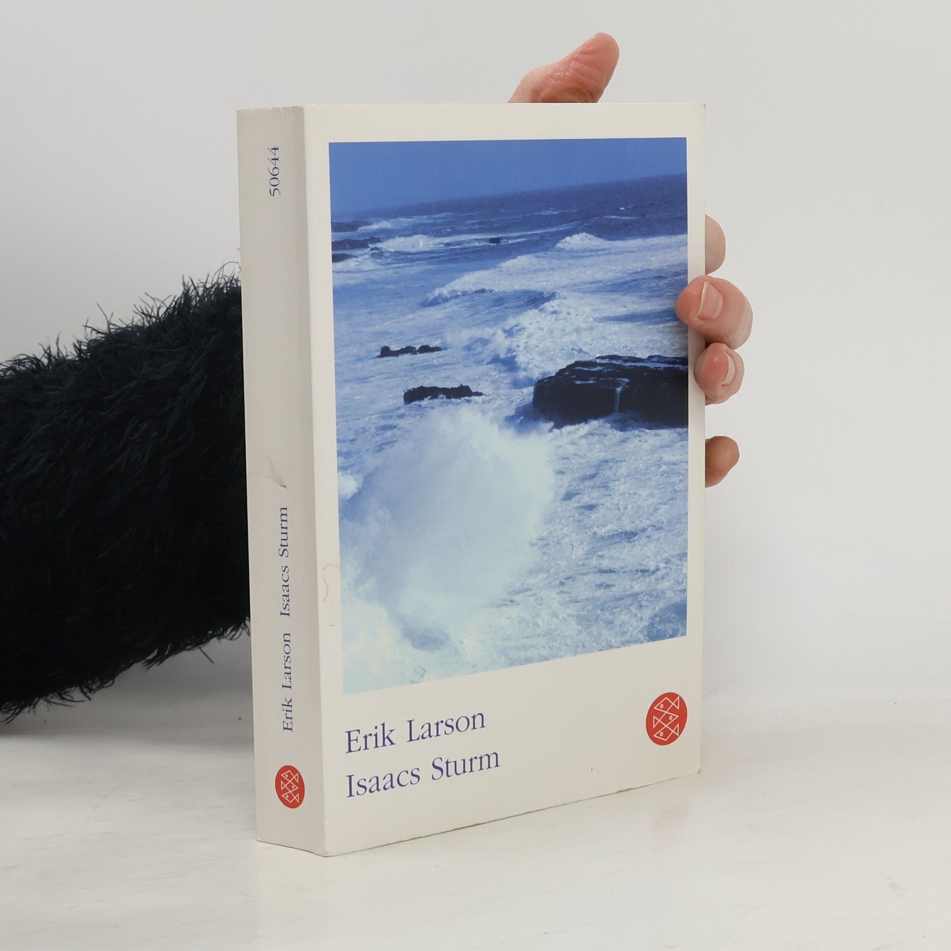 Bettina Abarbanell Isaacs Sturm. Ein Mann und sein Kampf gegen den schrecklichsten Hurrikan der Geschichte