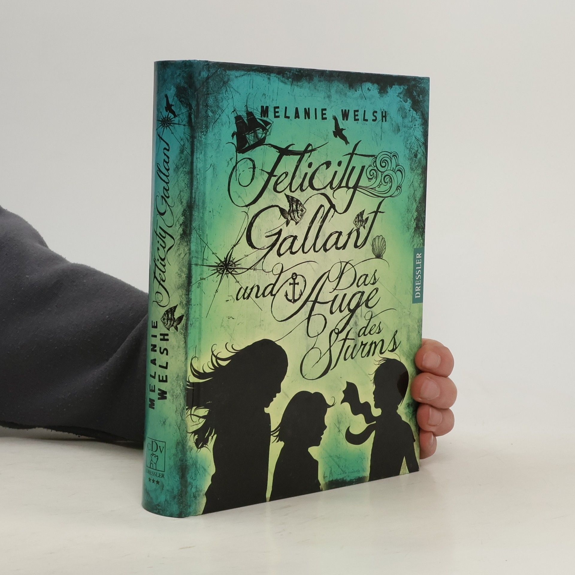 Melanie Welsh Felicity Gallant und das Auge des Sturms