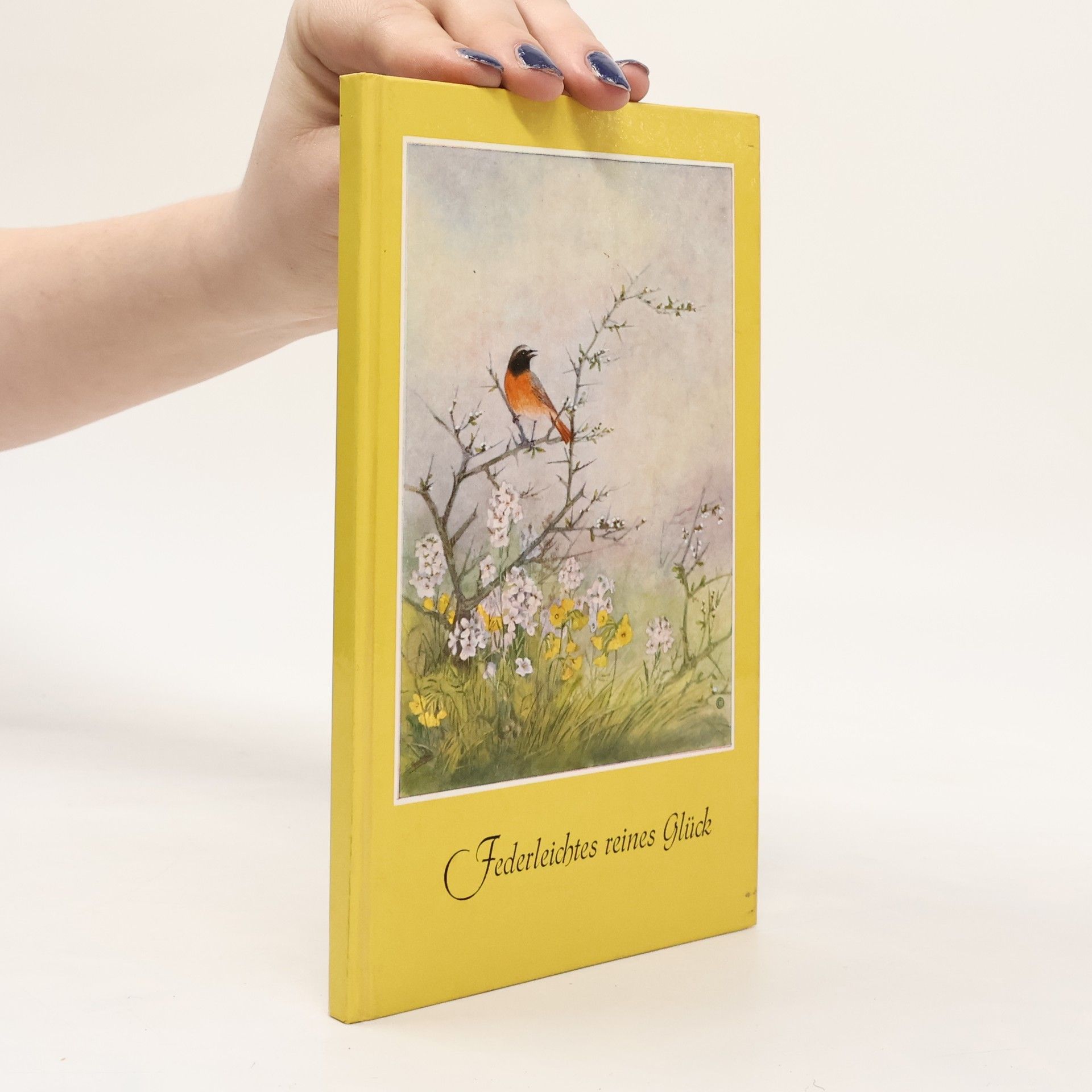 Auteurscollectief Federleichtes reines Glück