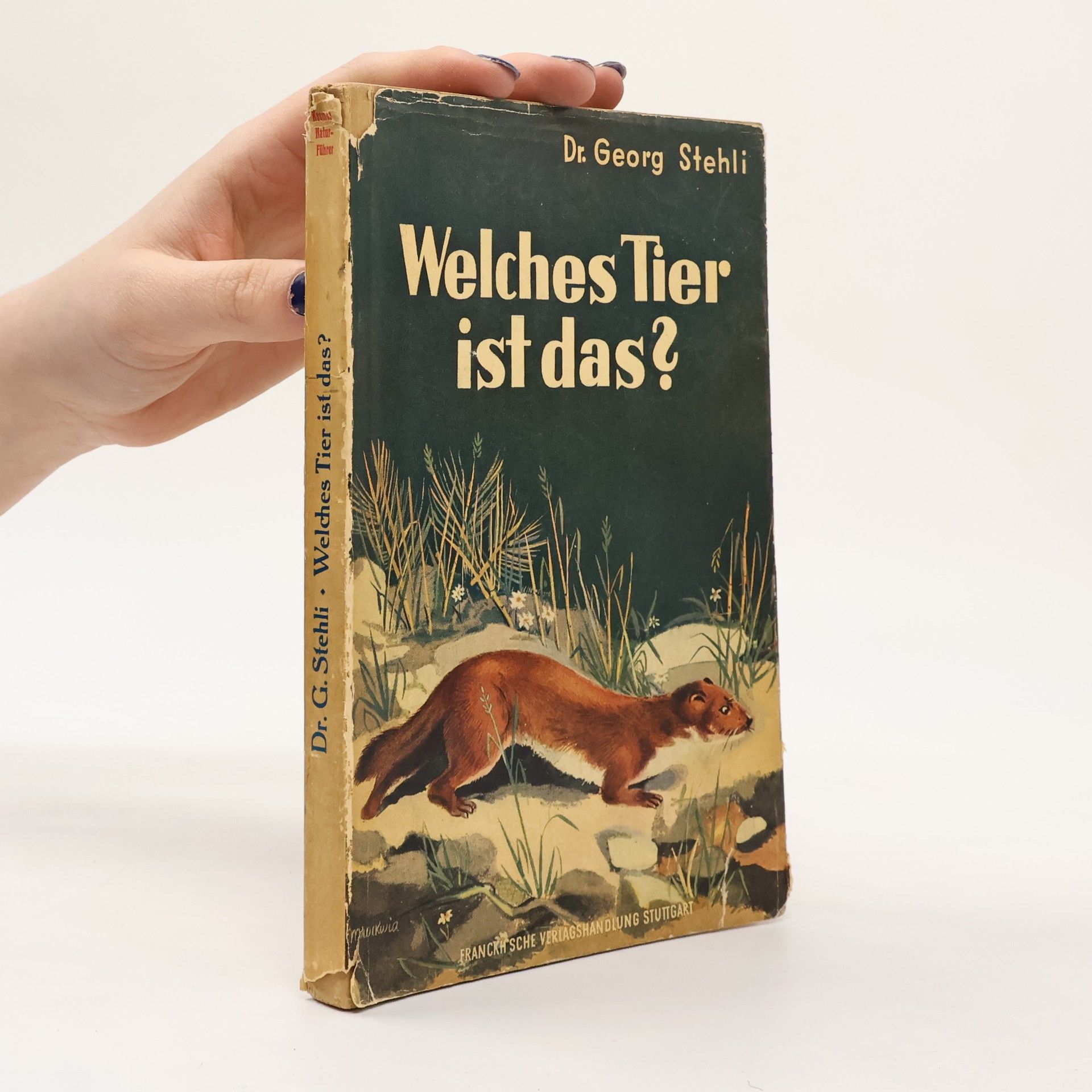 Dr. Georg Stehli Welches Tier ist das?