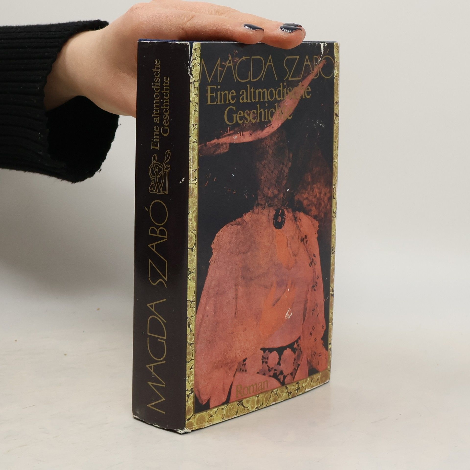 Magda Szabó Eine altmodische Geschichte