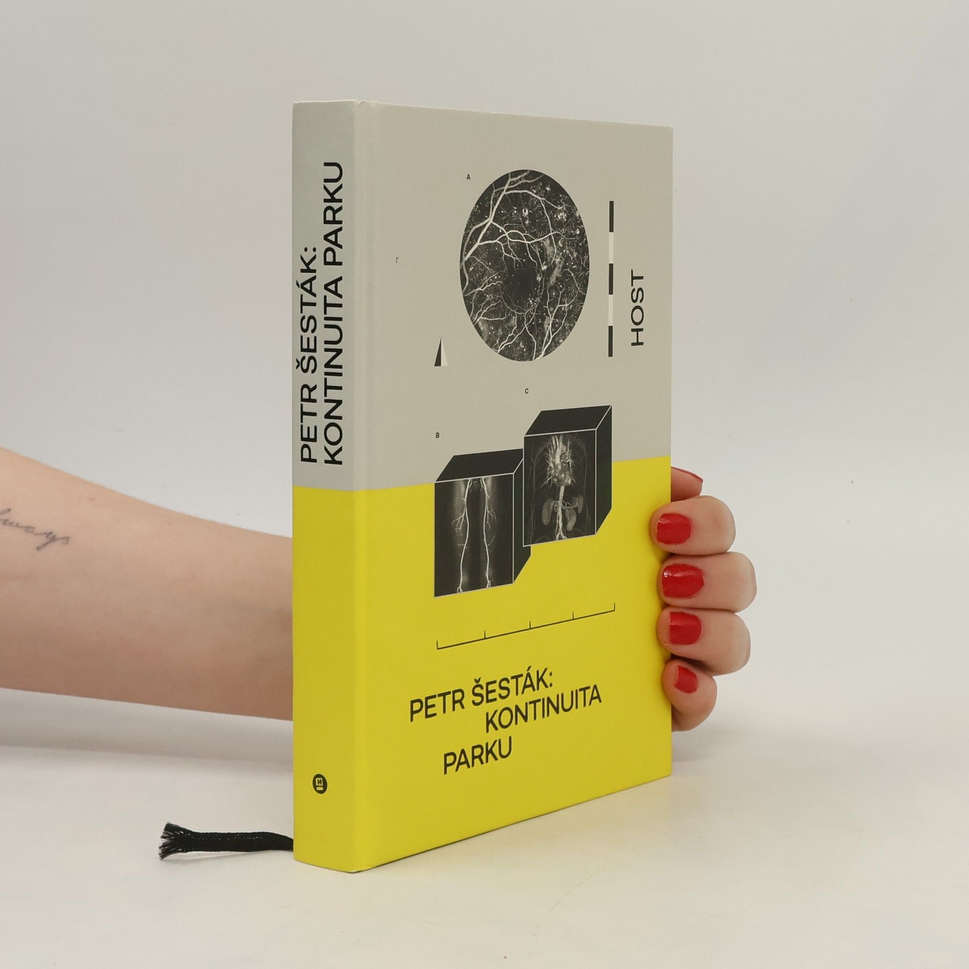 Petr Šesták Kontinuita parku