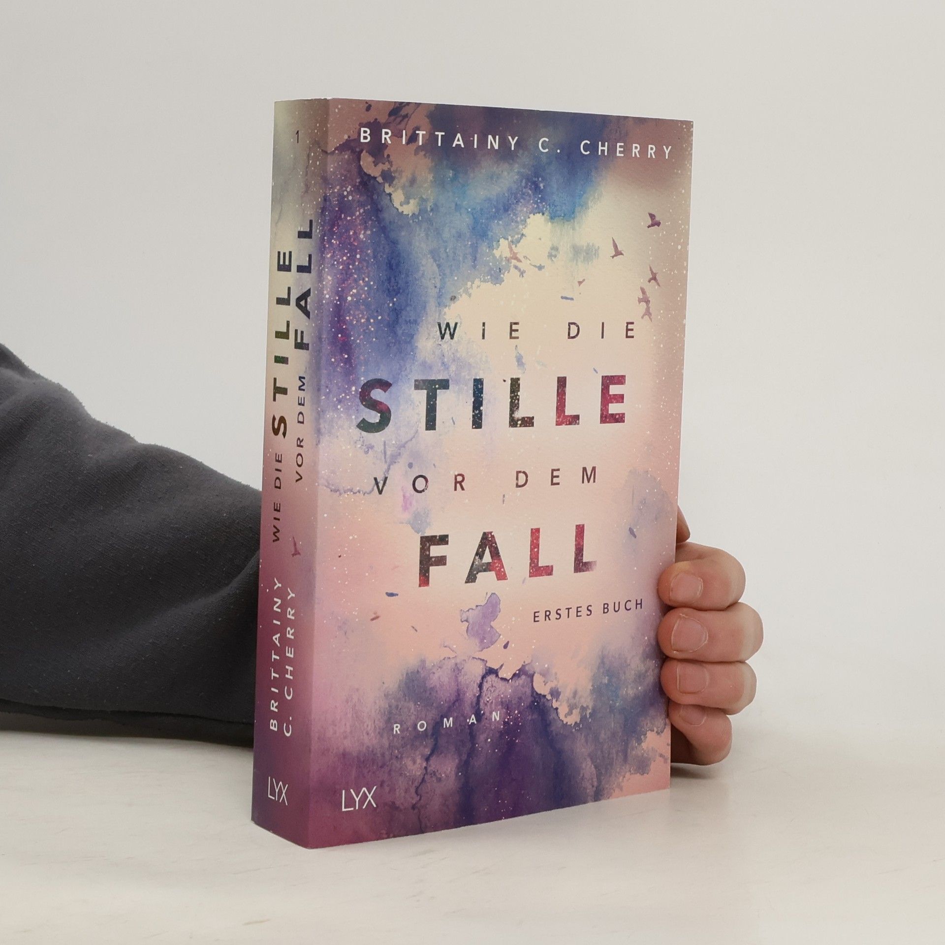 Brittainy C. Cherry Wie die Stille vor dem Fall