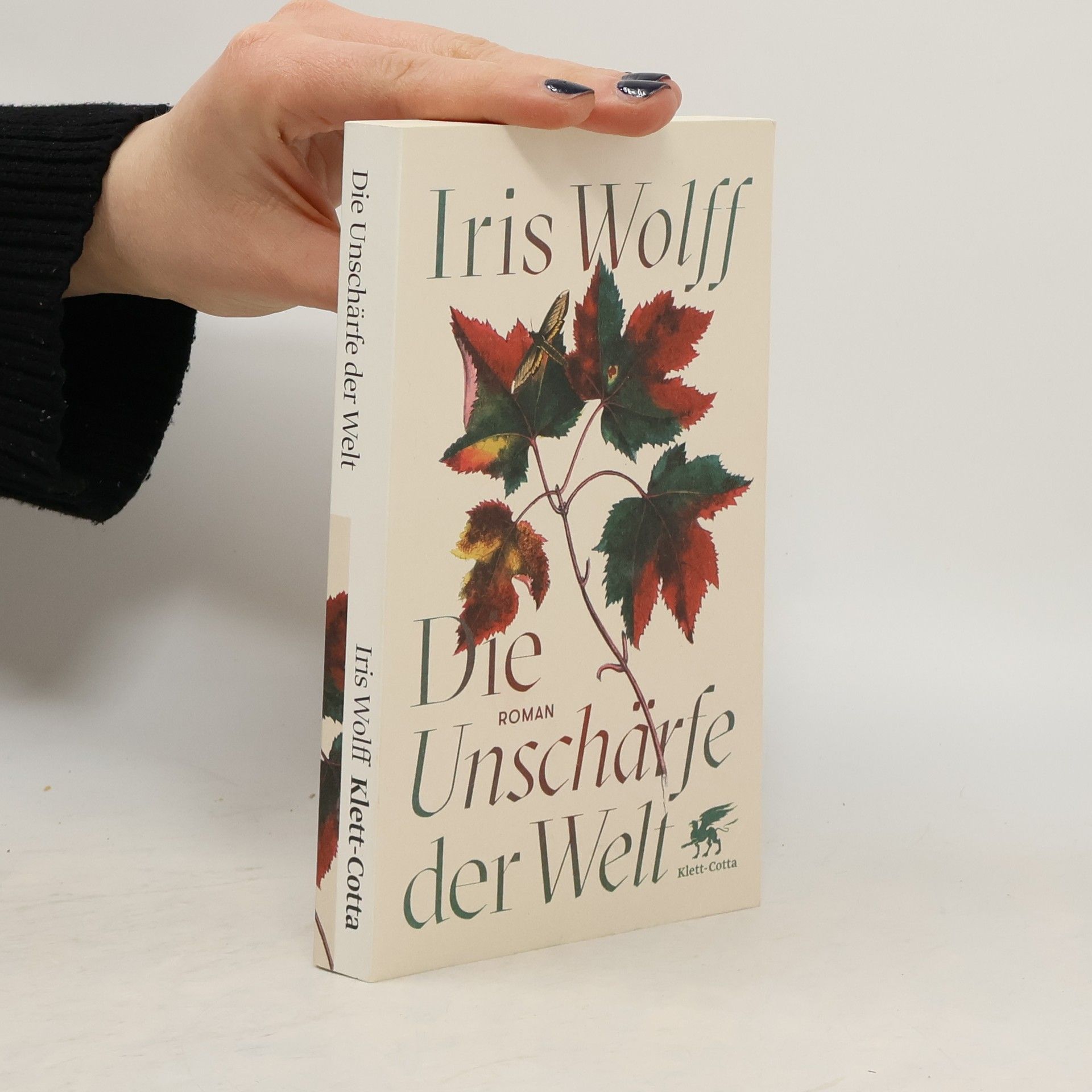 Iris Wolff Die Unschärfe der Welt