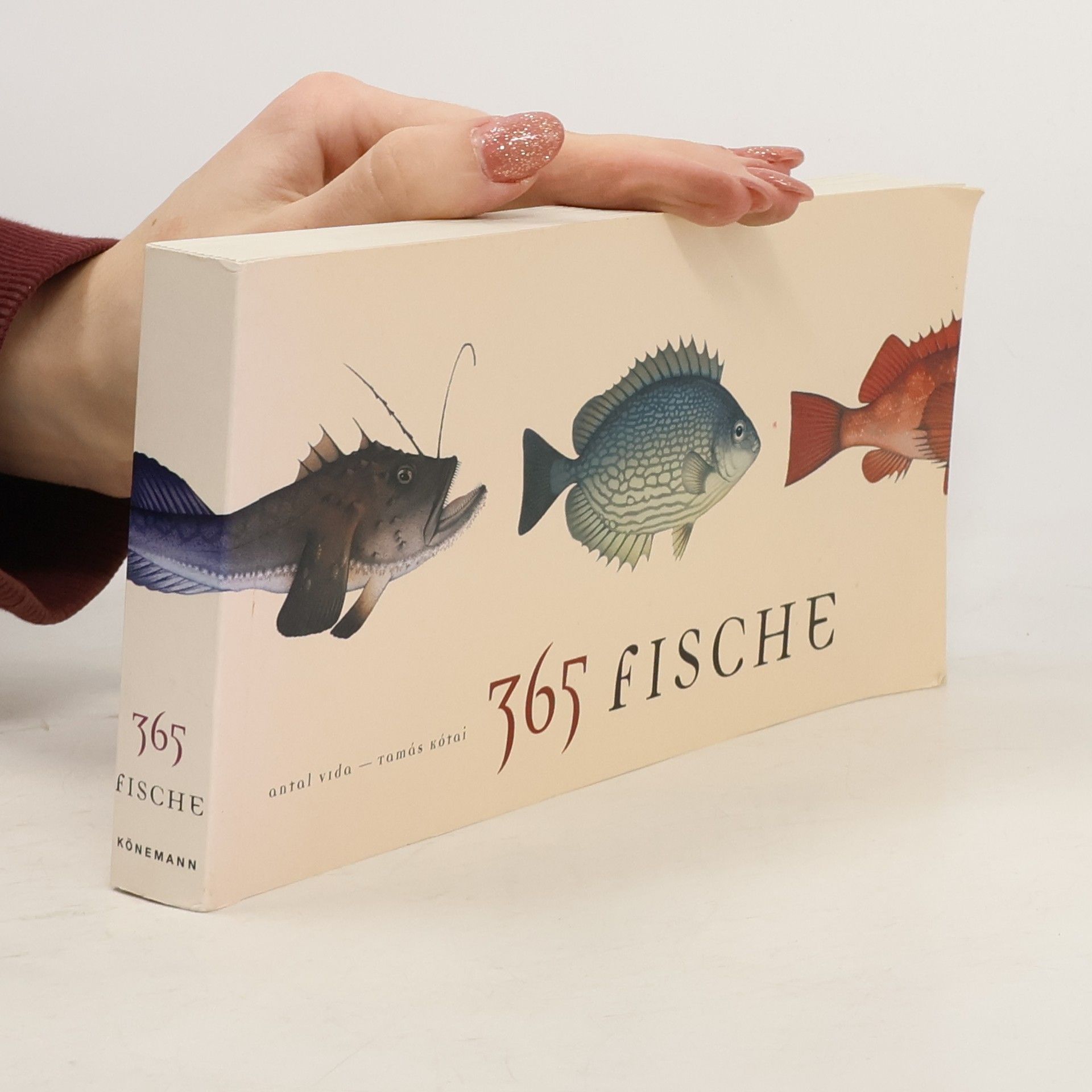Antal Vida 365 Fische